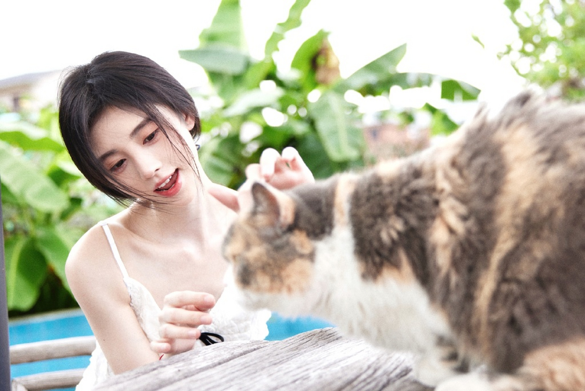 鞠婧祎蕾丝吊带裙# #鞠婧祎