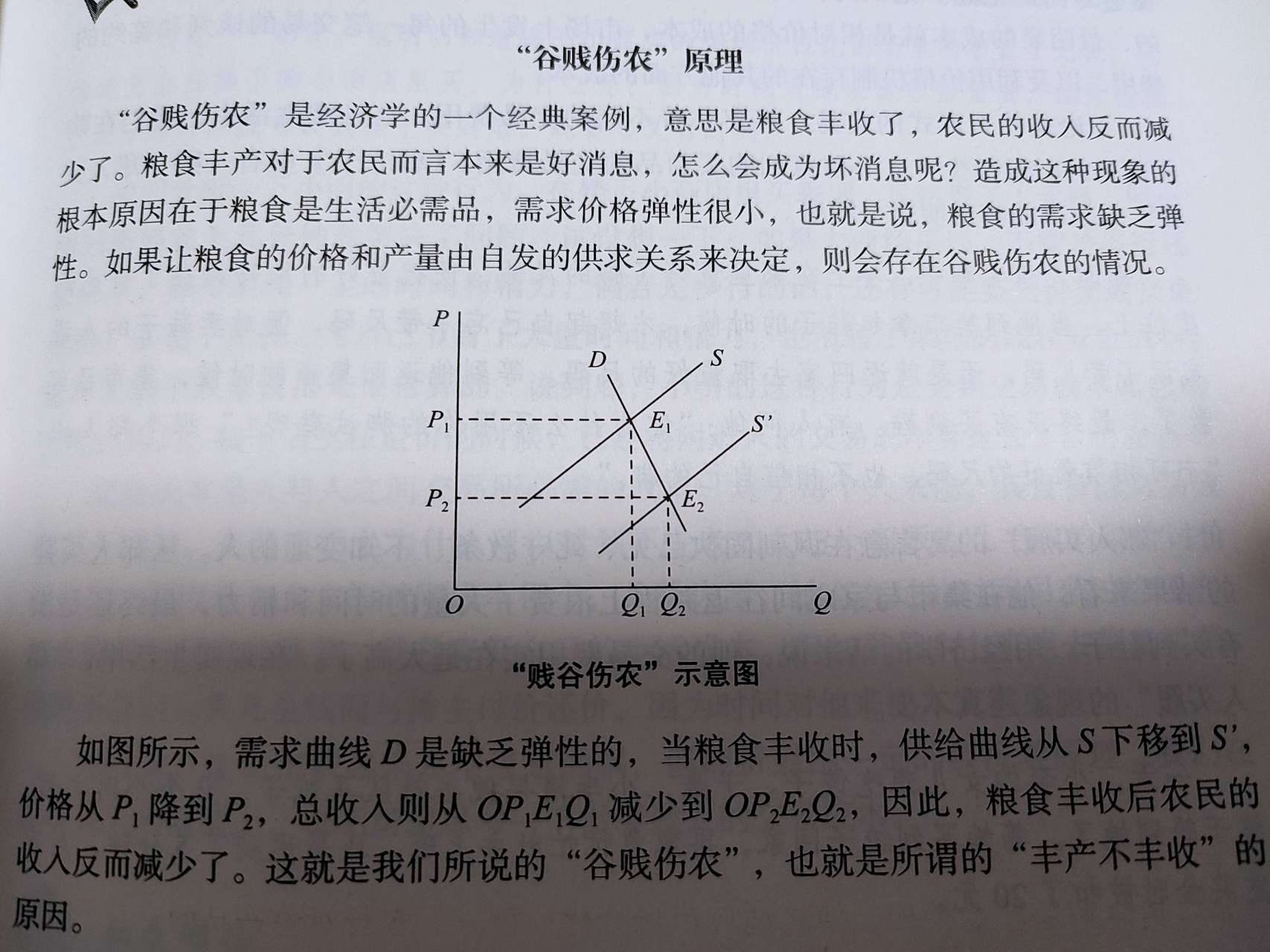 谷贱伤农—丰产不丰收"谷贱伤农"是经济学的一个经典问题