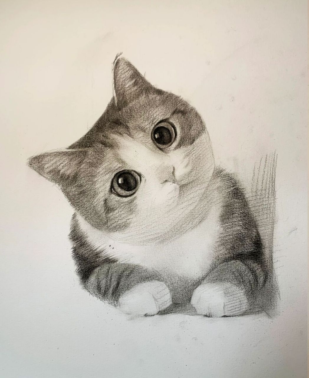 猫咪素描画法步骤图片图片