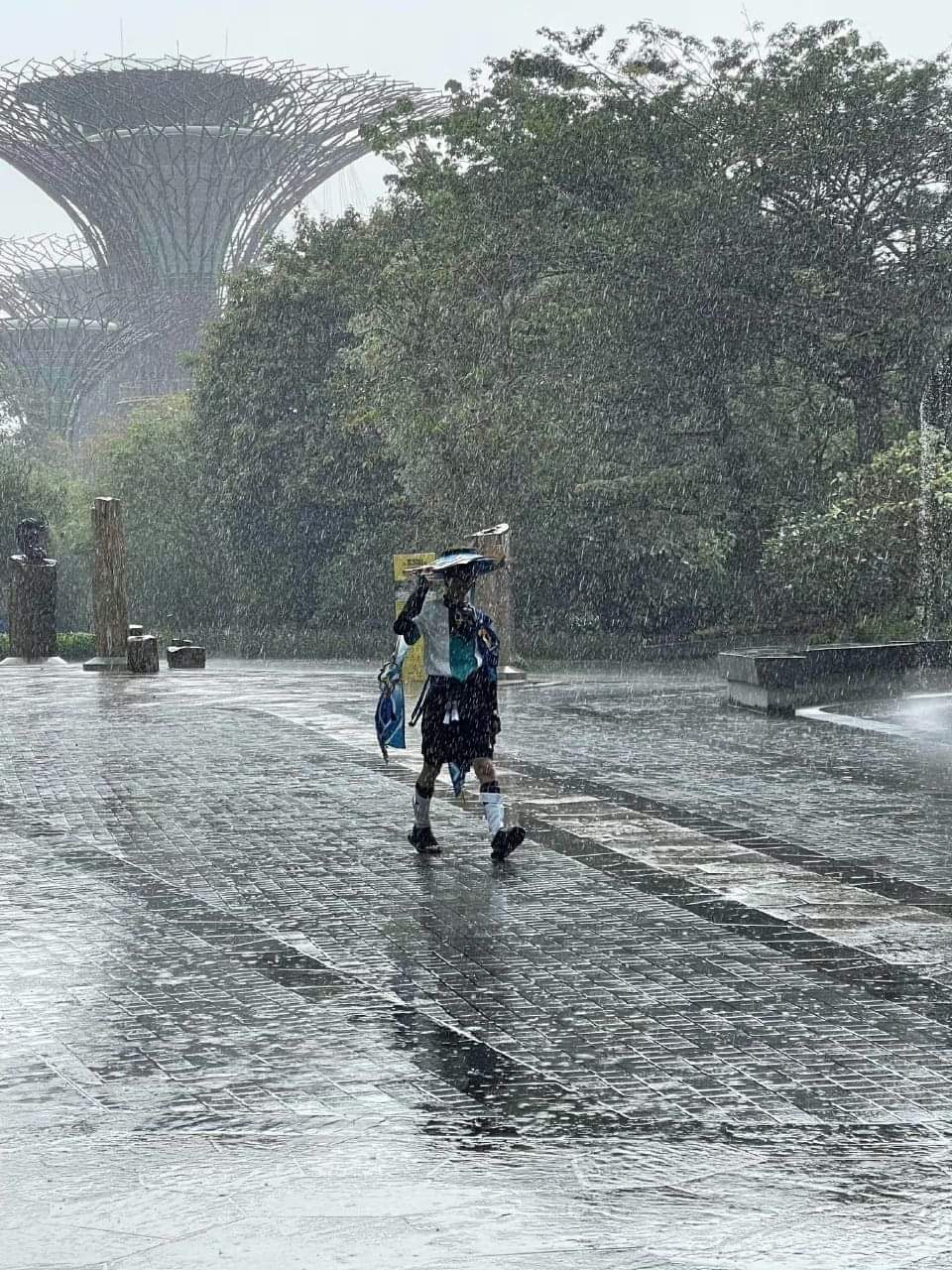 冷冷的冰雨在臉上胡亂的拍,暖暖的眼淚跟寒雨混成一塊~ 好想讓散寶唱