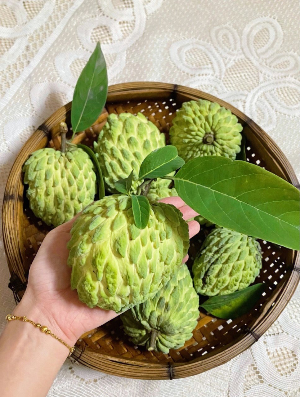 释迦果属番荔枝科,番荔枝属落叶小乔木,外面被白色粉霜,具有健脑,明目