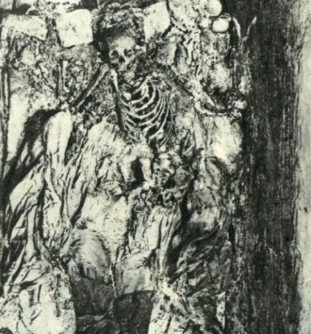 带人挖掘定陵的照片,在照片中,我们可以清楚的看到万历皇帝的尸骨