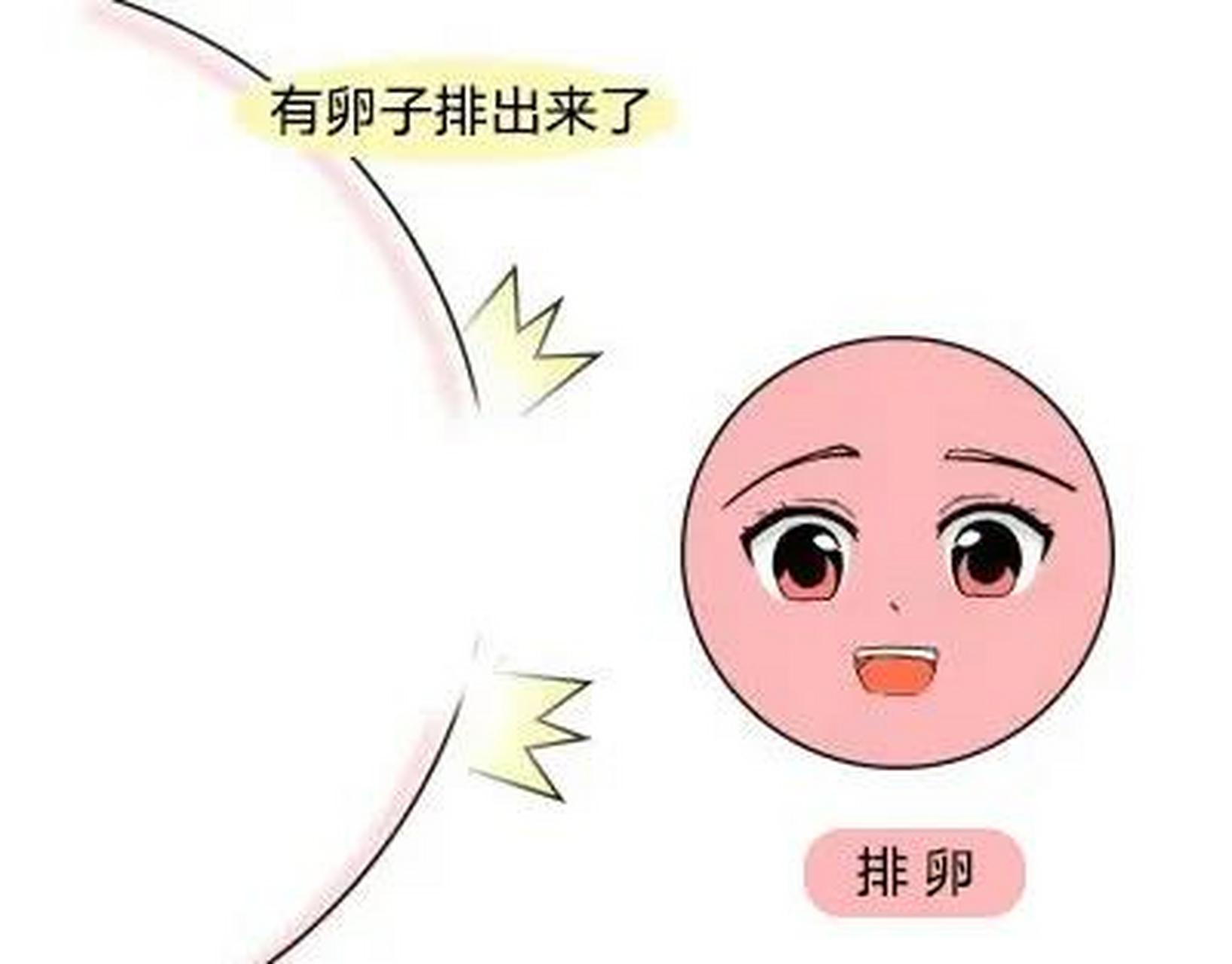 多囊卵泡多促排卵那些卵泡去哪了 "传闻象郡隔南荒"-第1张图片-酷飞