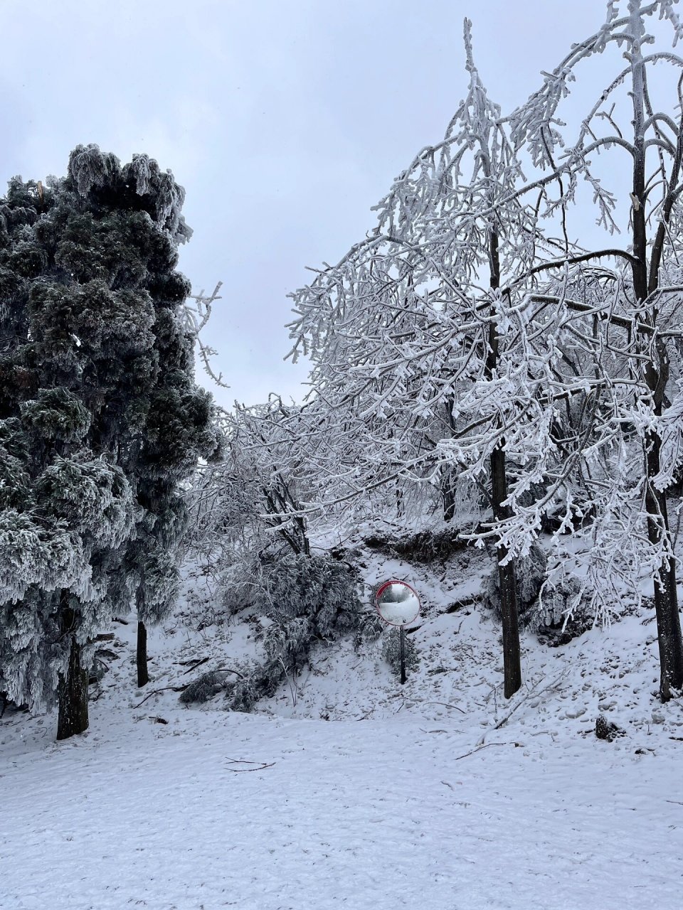 手机拍摄雪景技巧图片