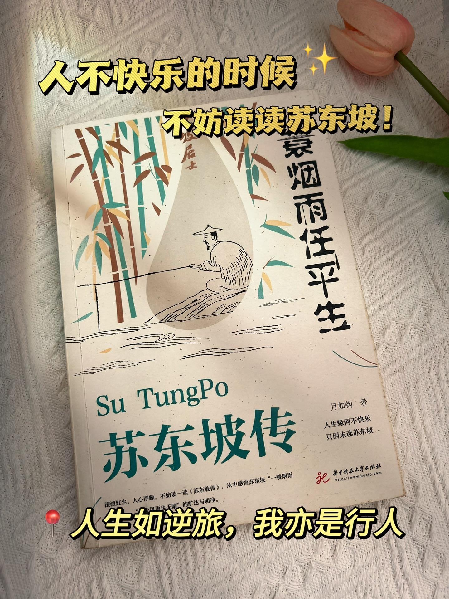 苏东坡的人生经历,教会我们如何面对困境,不消沉,不抱怨,更没有在黑暗