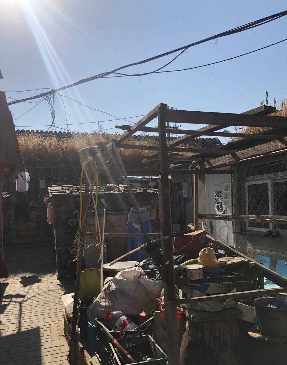 嗝屁着凉大海棠 脚不丫子蘸白糖.