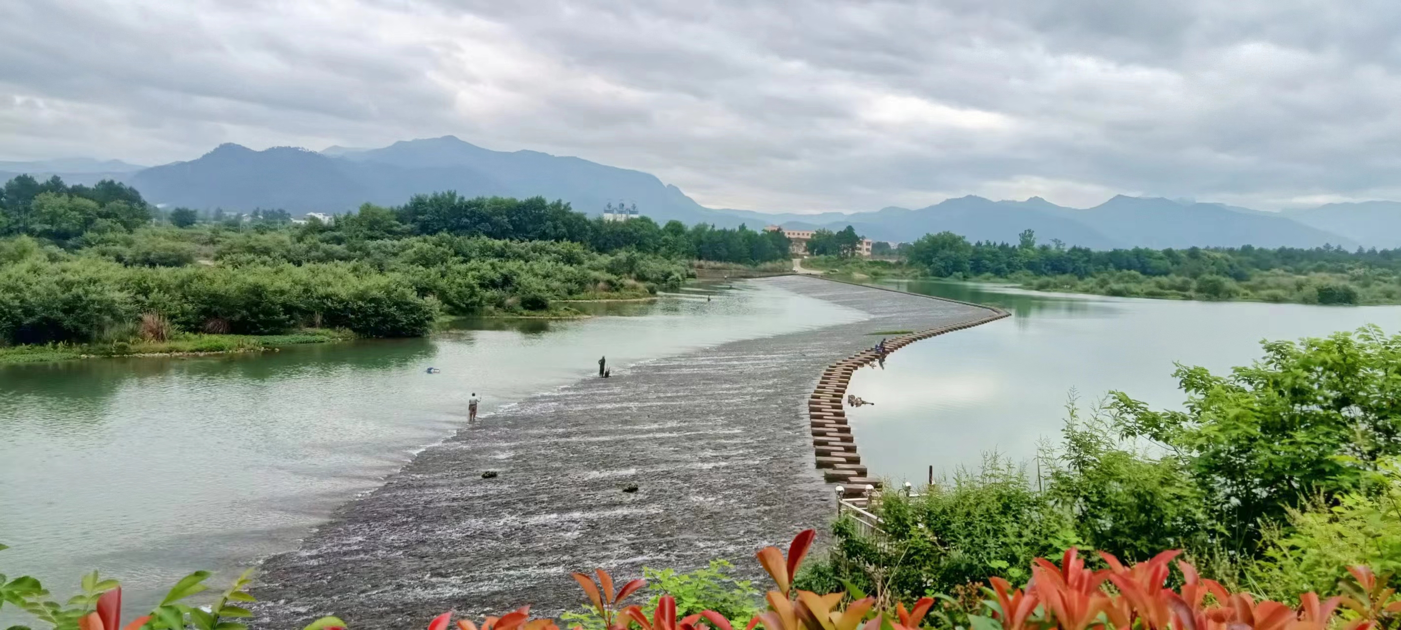 大写的s型碇步桥 清澈见底碧油油的溪水,堪比浩荡的大海 一群年纪虽大