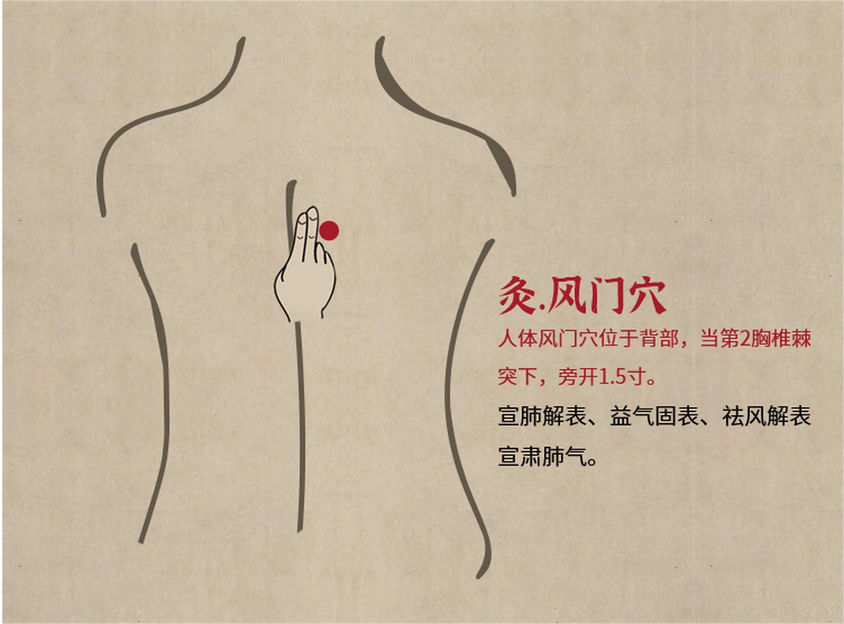人体风门穴位于背部,当第