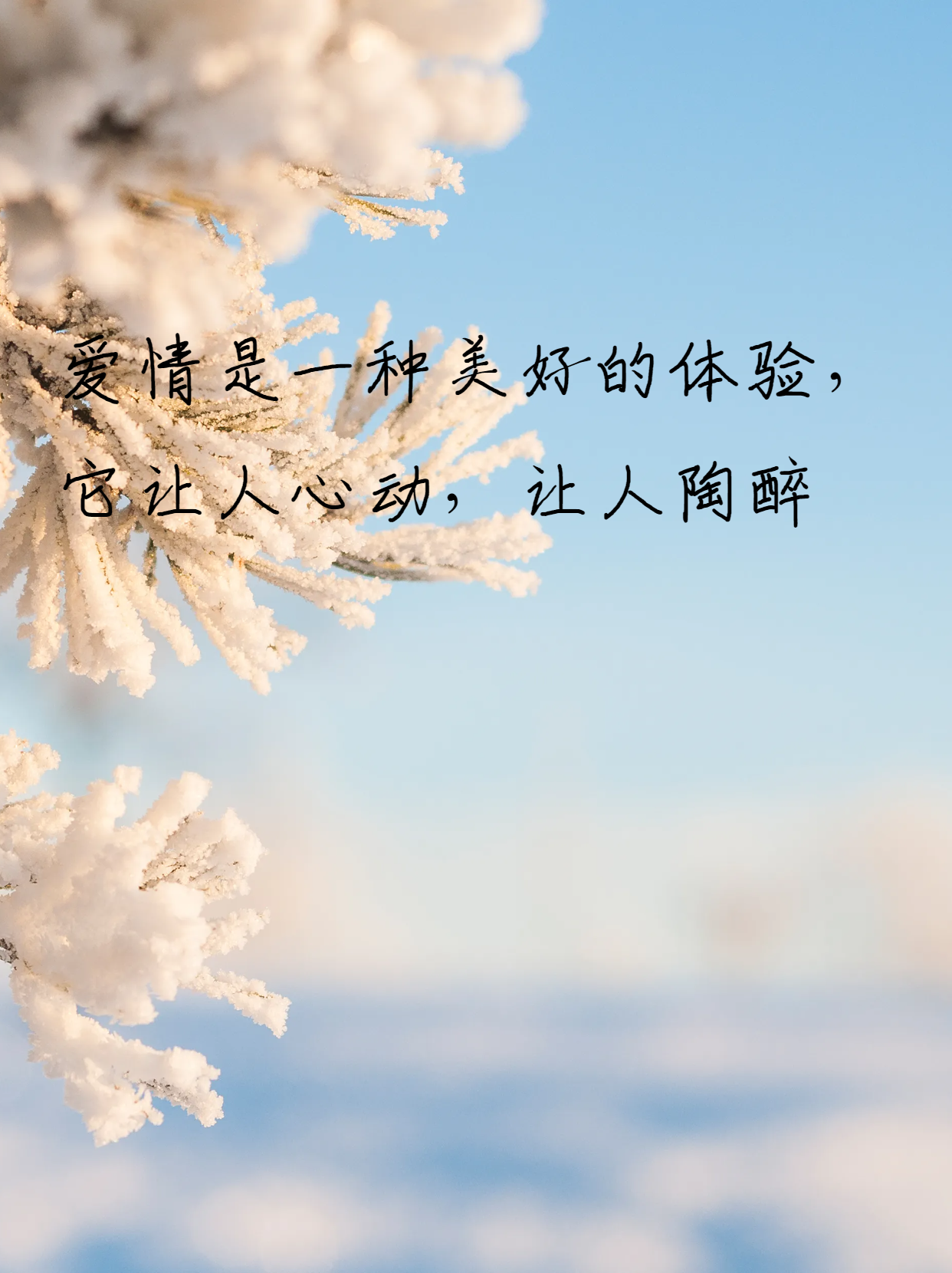 爱情:一种心跳加速的体验 爱情如同浓郁的葡萄酒,它带来的感觉是鲜明