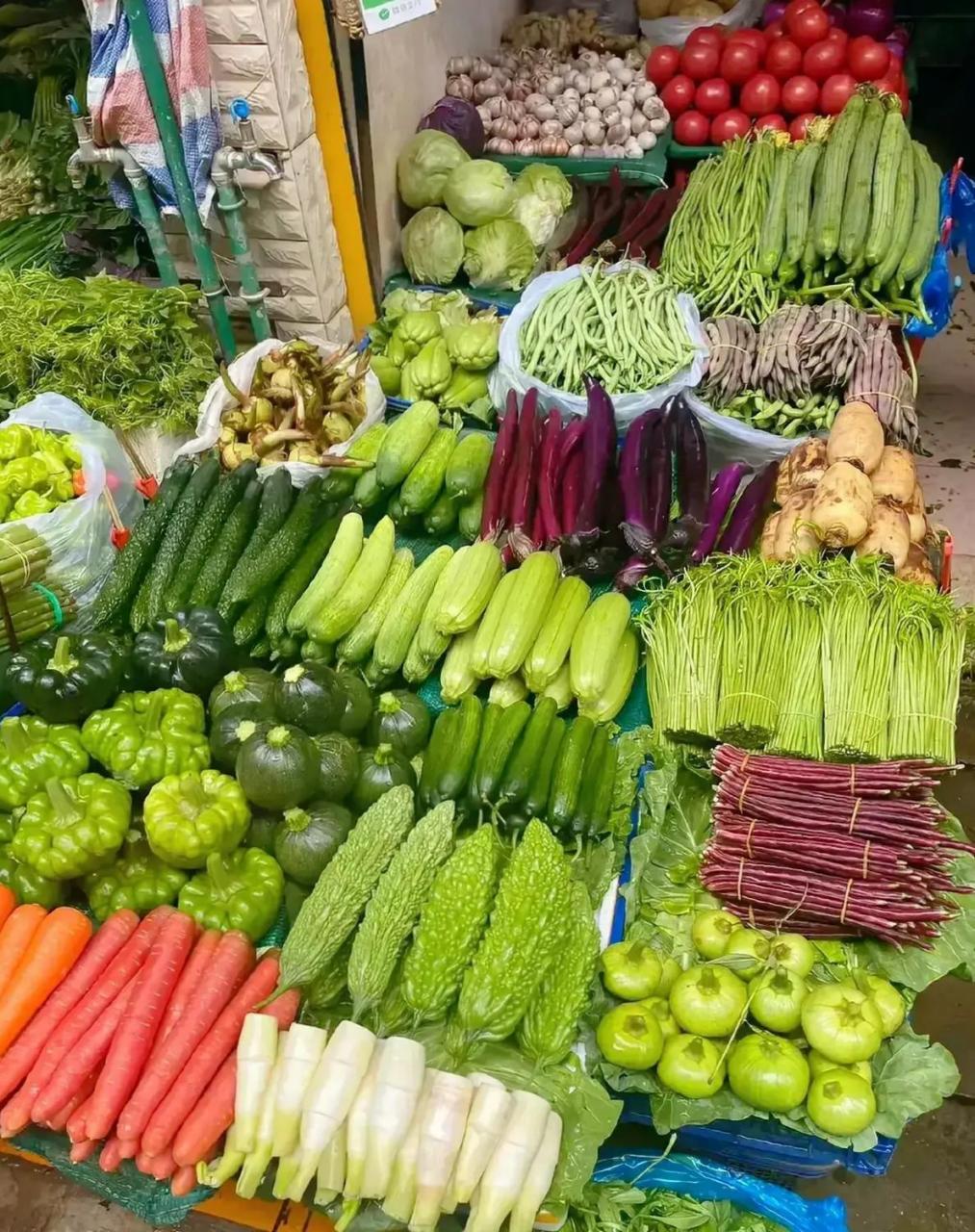 这个蔬菜摊子论新鲜度无疑是全国菜摊的天花板!能看出来这是哪个省吗?