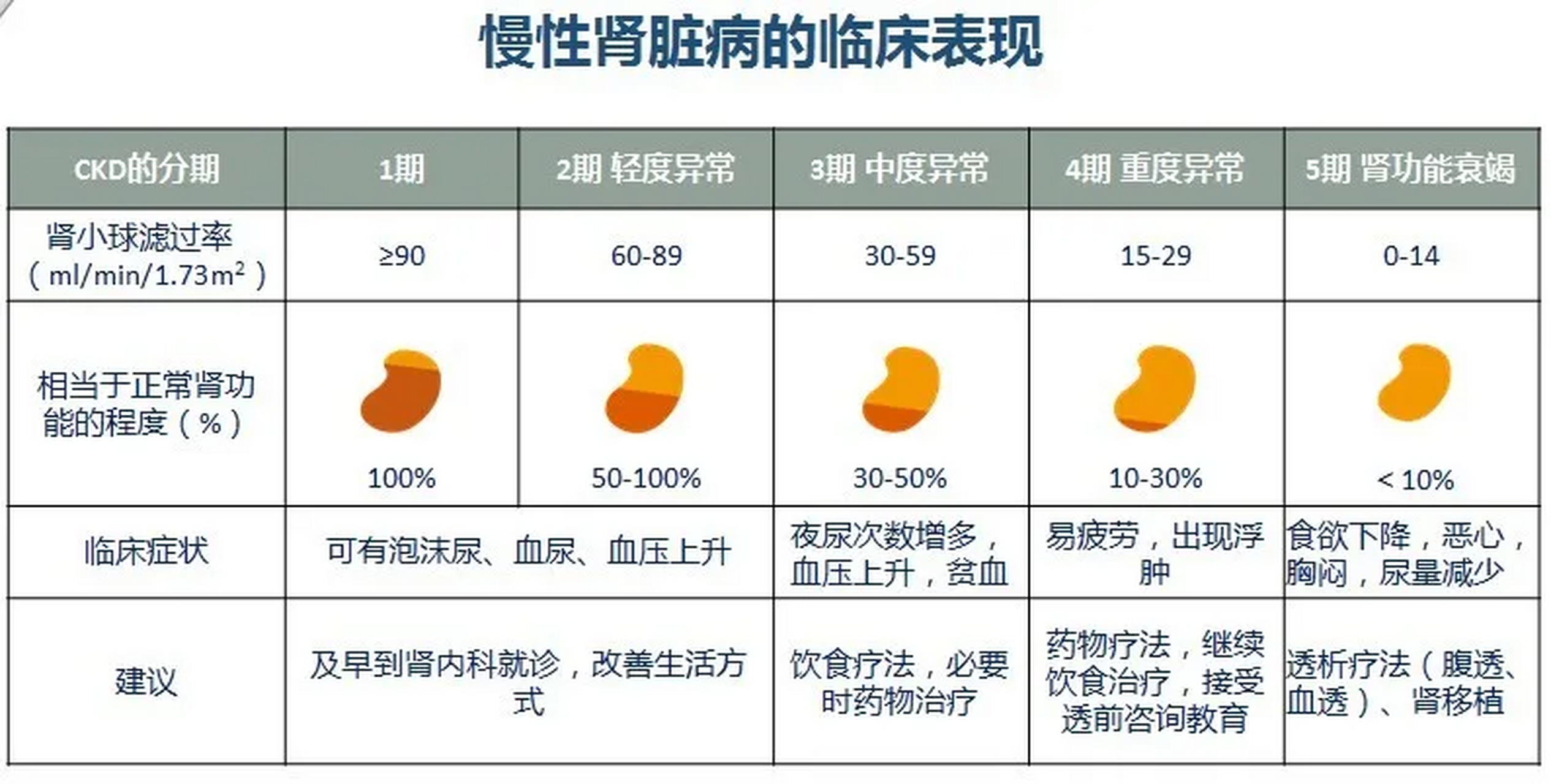 肾功能不全分四期图片