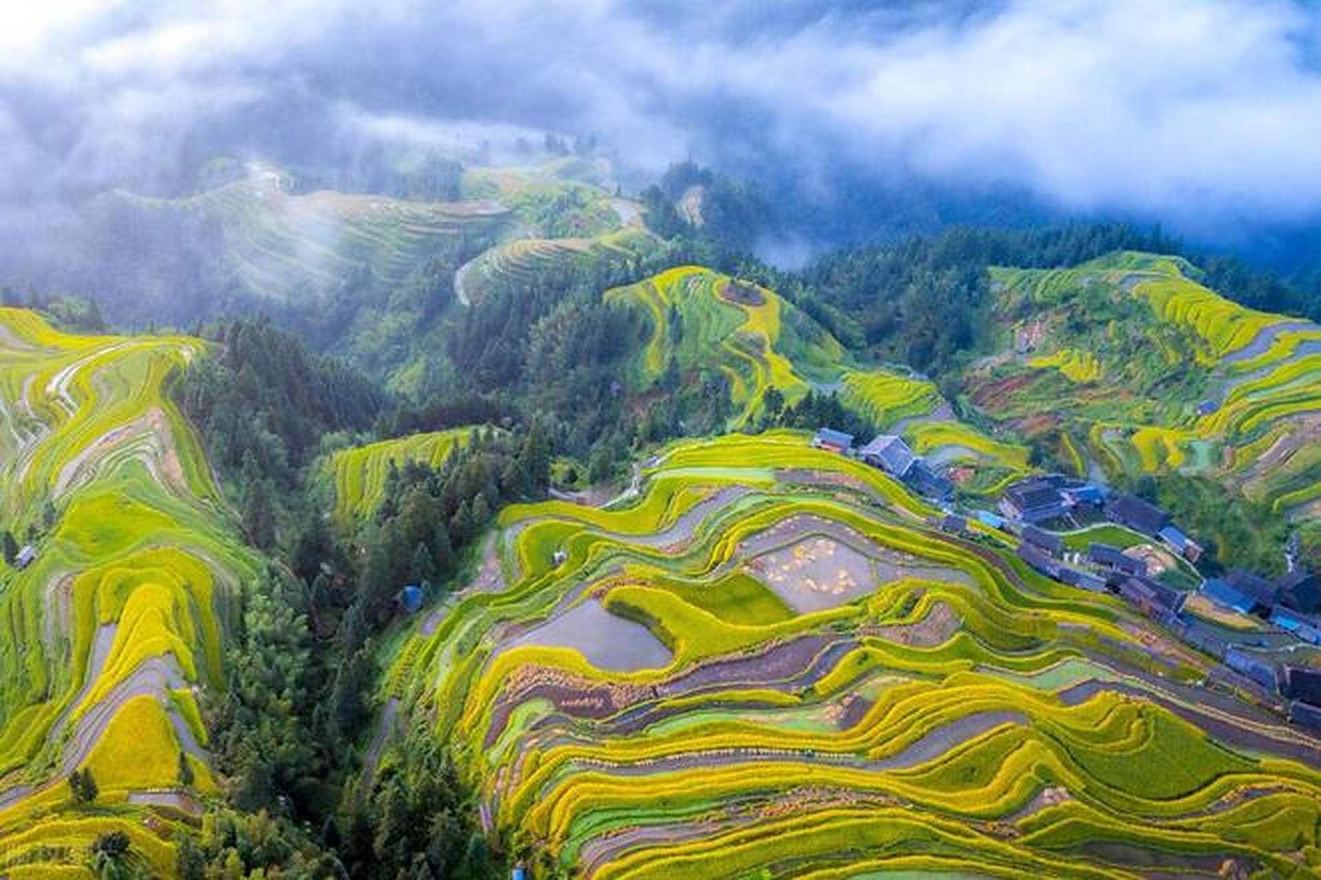 层林尽染的秋色,配上满目金黄的稻田,构成秋日田园最美丽的画卷.