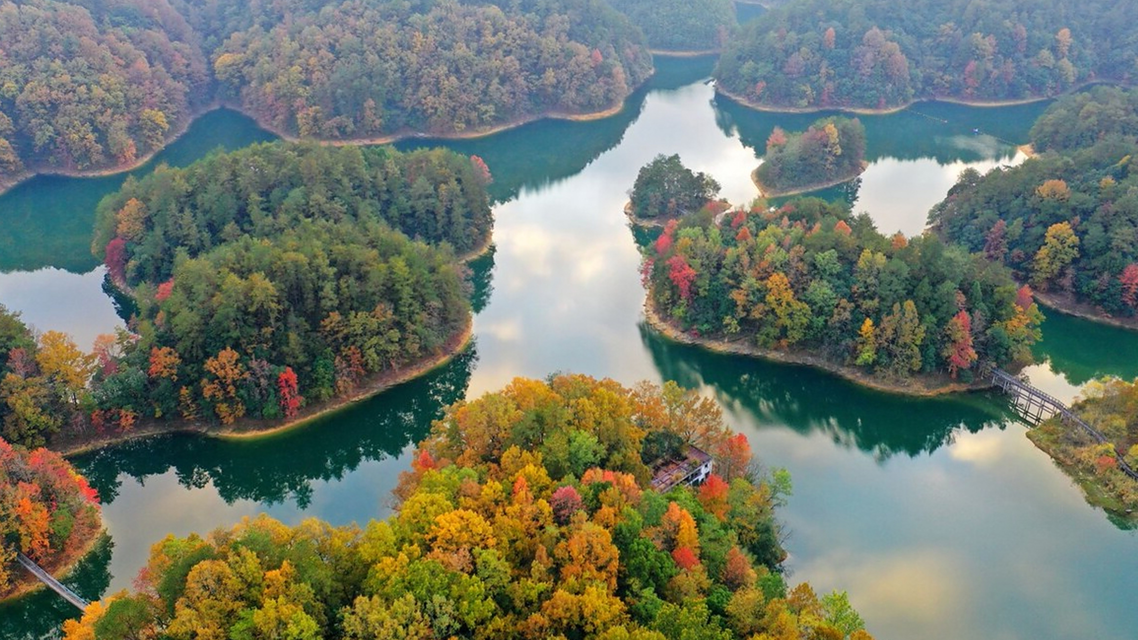 杭州千岛湖红叶湾迎来了最佳观赏期,漫山遍野的枫香和麻栎等树,五彩