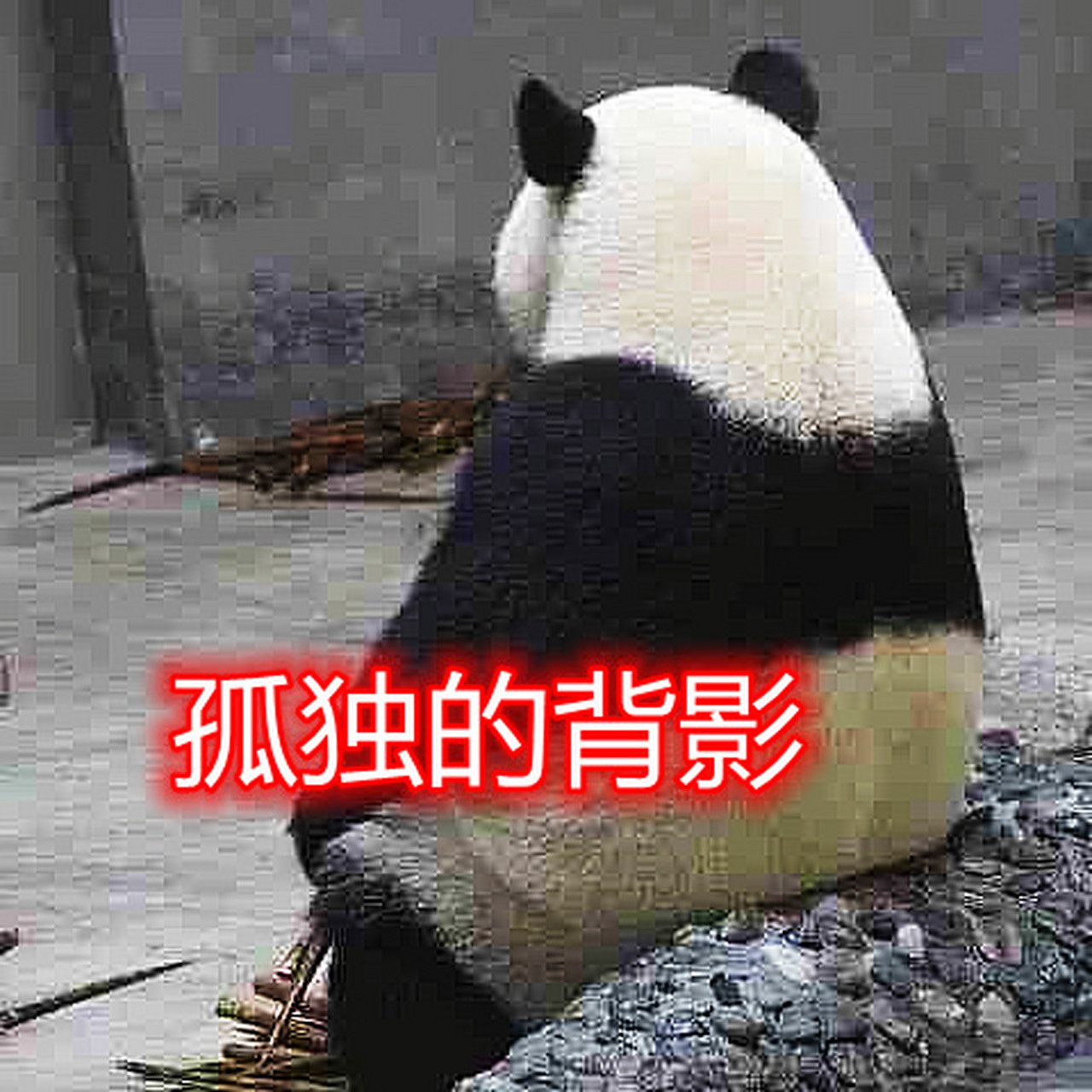 视频表情包# 孤独的背影