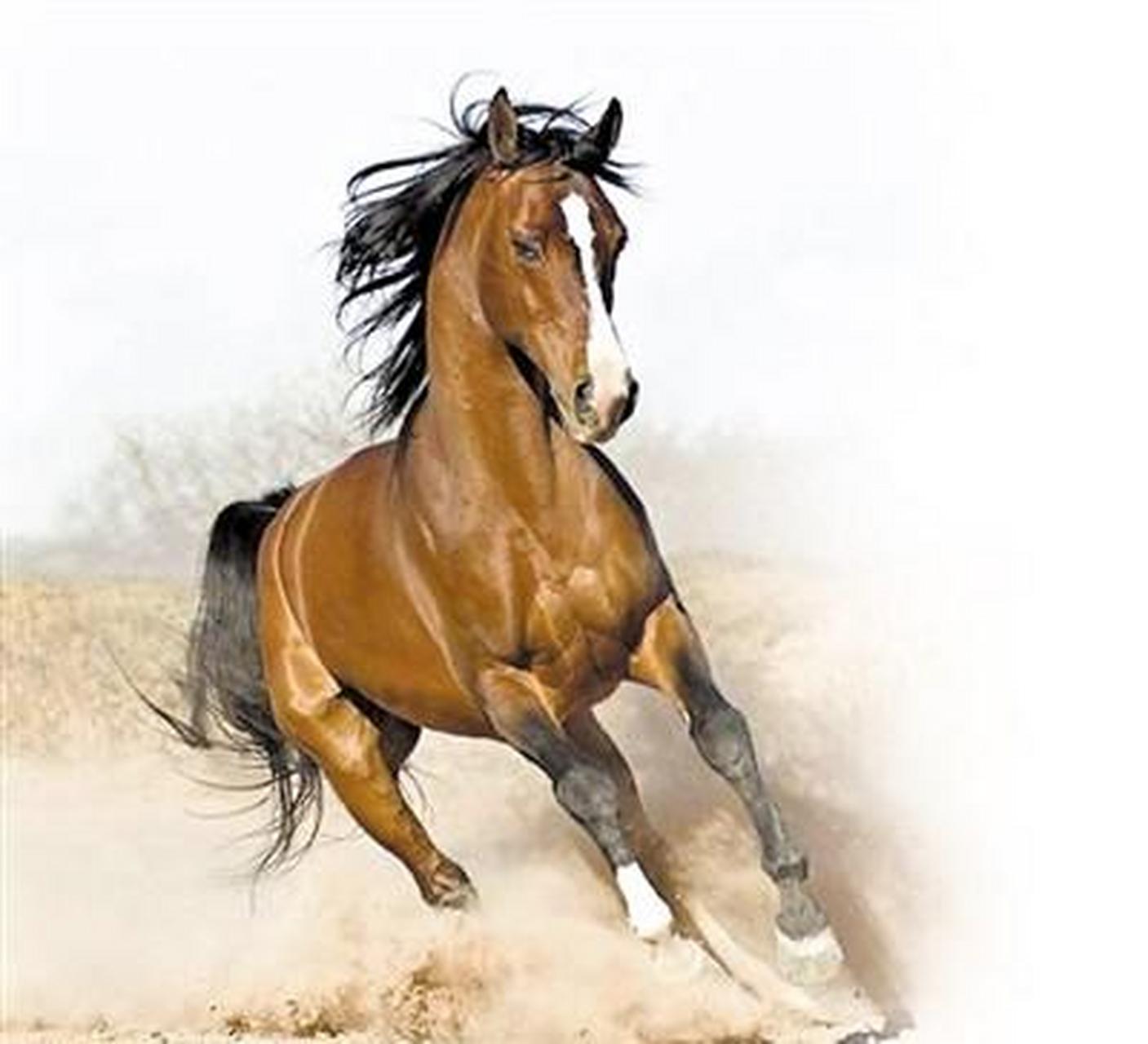 三国中的假故事:的卢跃檀溪.