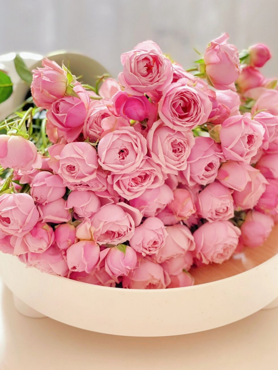 粉色多头玫瑰品种图片