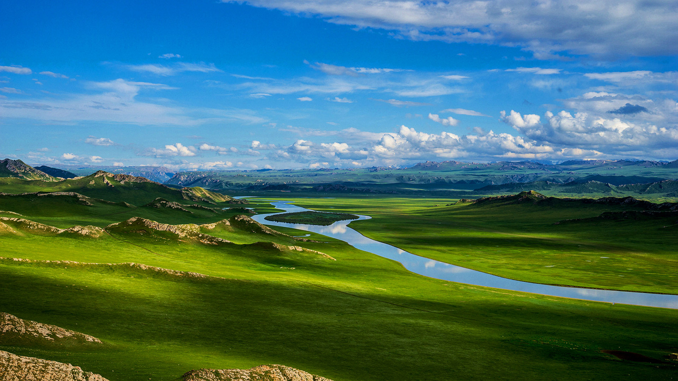 巴音布鲁克草像一片广阔无垠的绿色地毯,被雪山环抱其中.