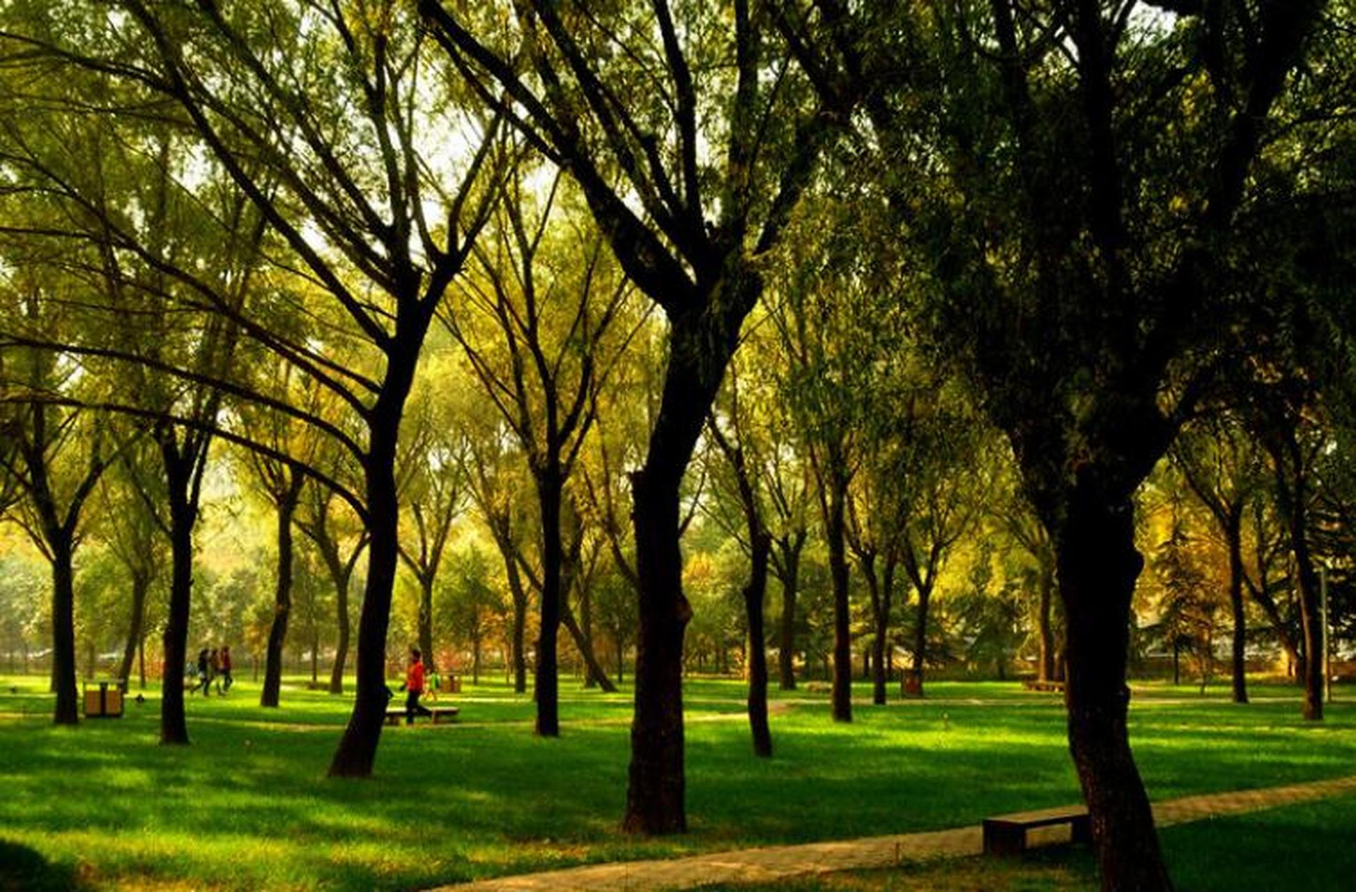 郑州古树苑公园位于郑州市金水区,是一座集古树,园林,文化,休闲为一体