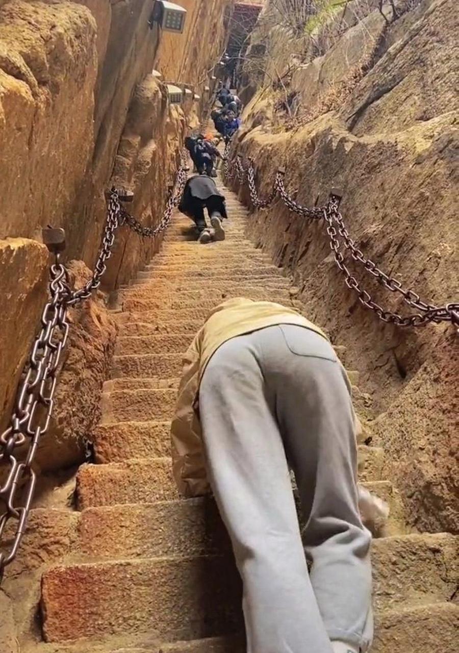 网友:这才叫爬山,必须要手脚并用才行! #趣图搞笑