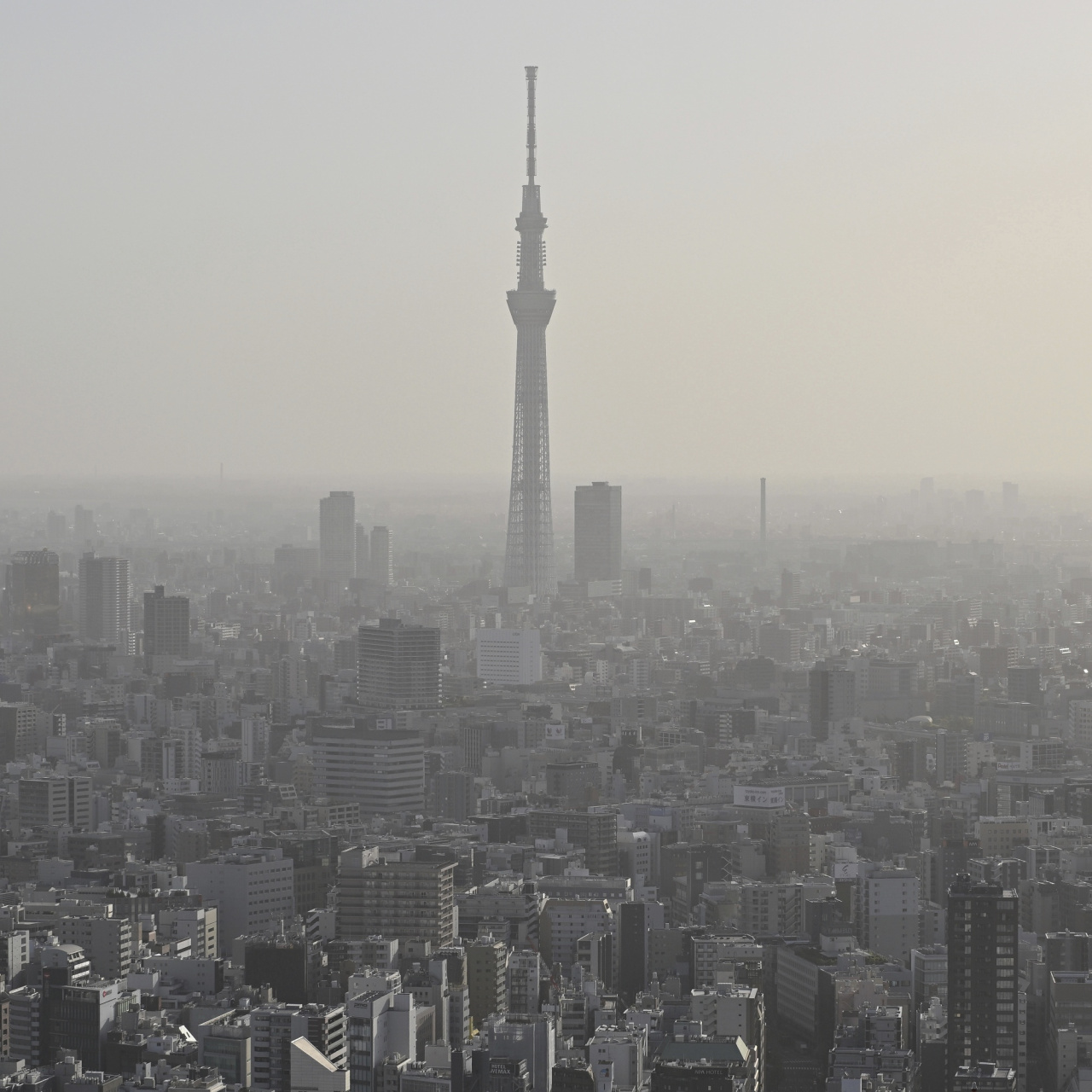 日本东京晴空塔图片