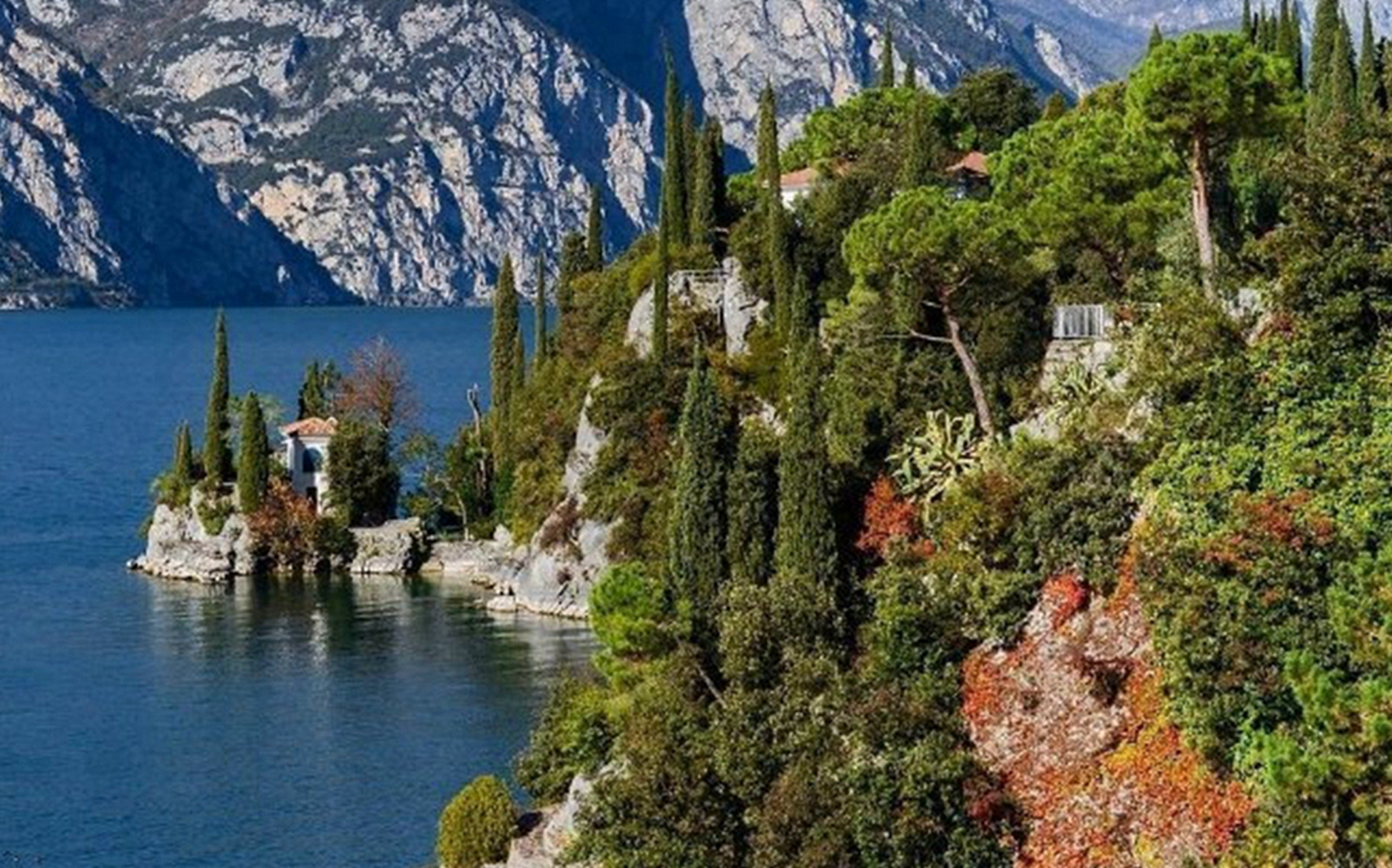 胡姬酒肆灯花泪,以黄金销尽一宿魅