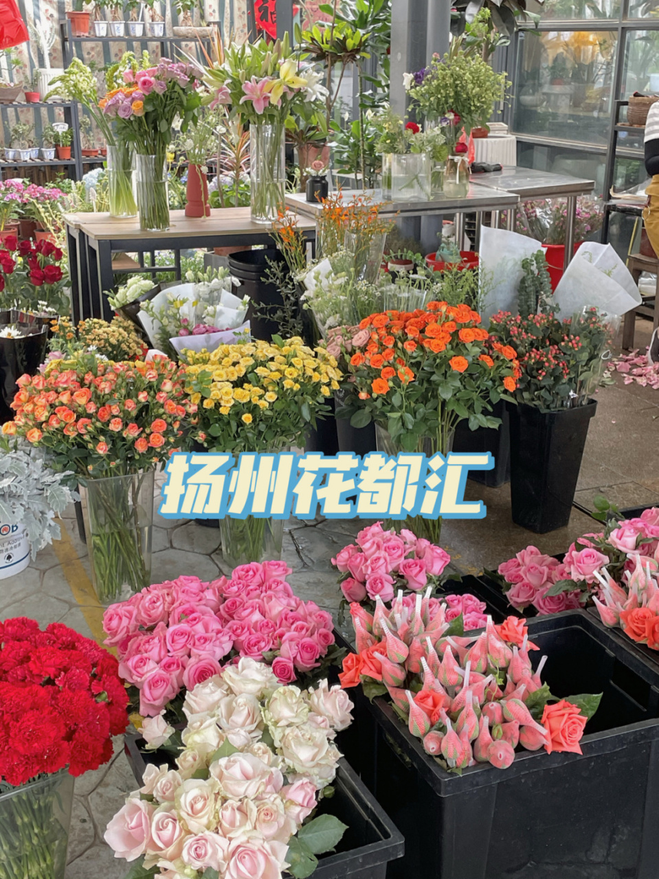 花都汇·扬州园艺体验中心 位置:瘦西湖花都汇西北0m 距离世界动物