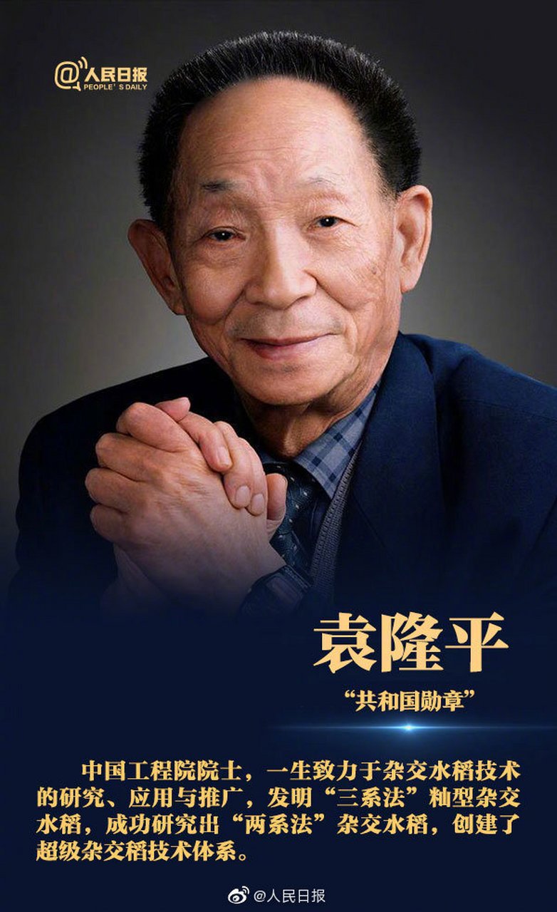 袁隆平爷爷,一个在中国农业领域做出巨大贡献的人物,他以他的革命性
