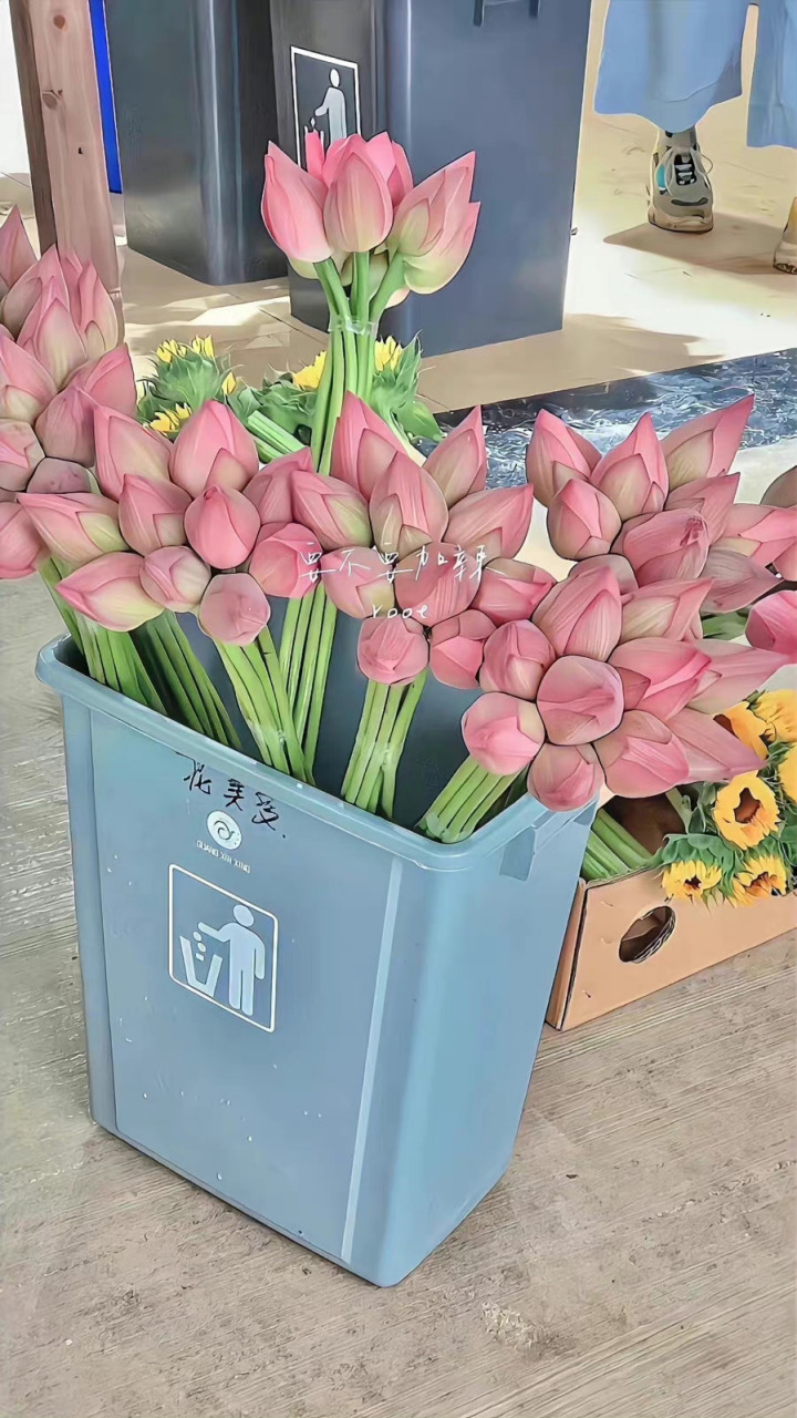 一些粉色系壁纸