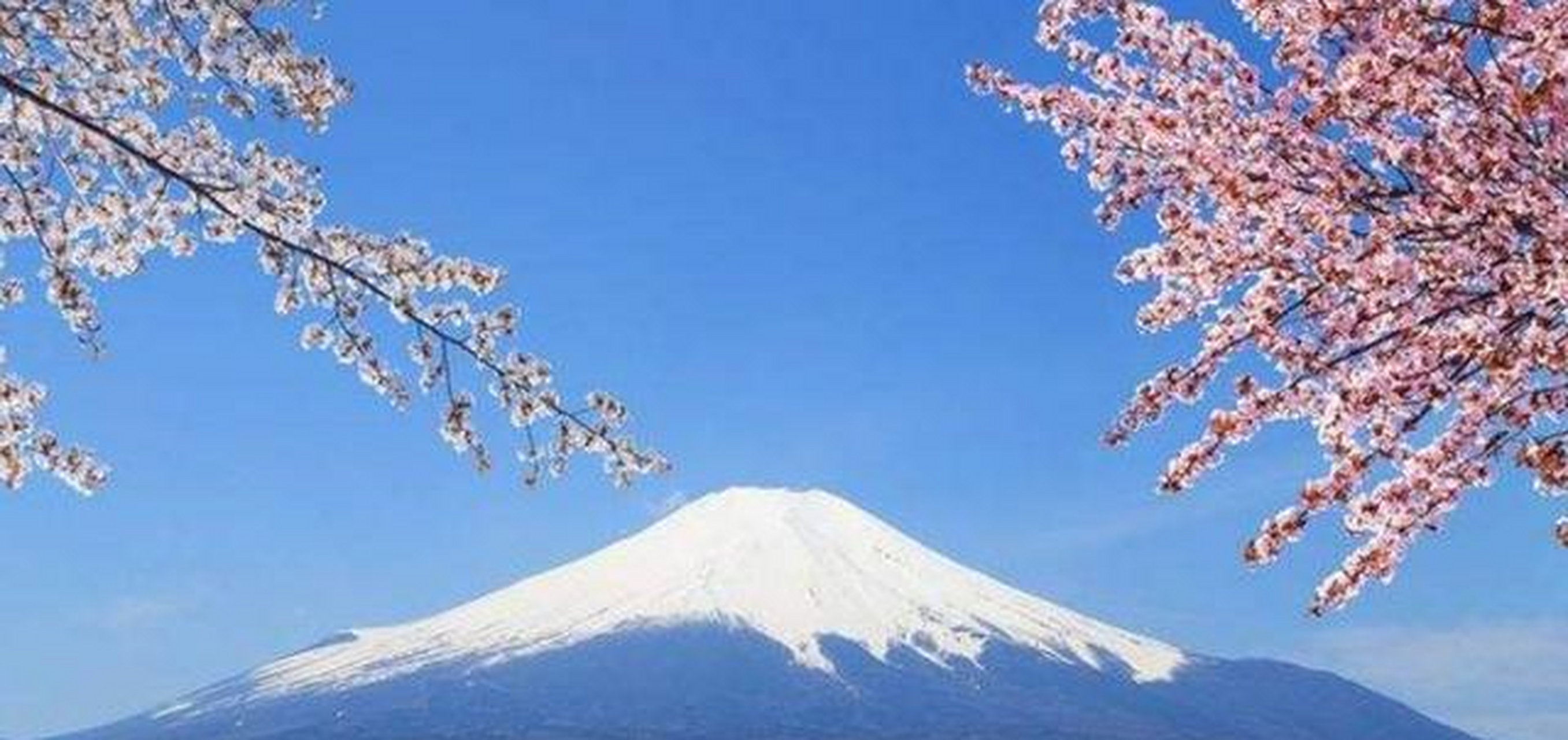 富士山评为日本三灵山之一,日本百名山.