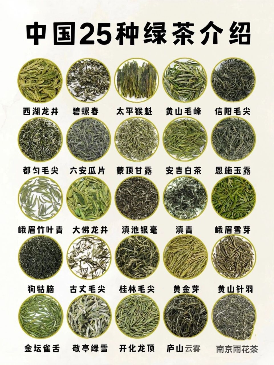 【25种绿茶】介绍