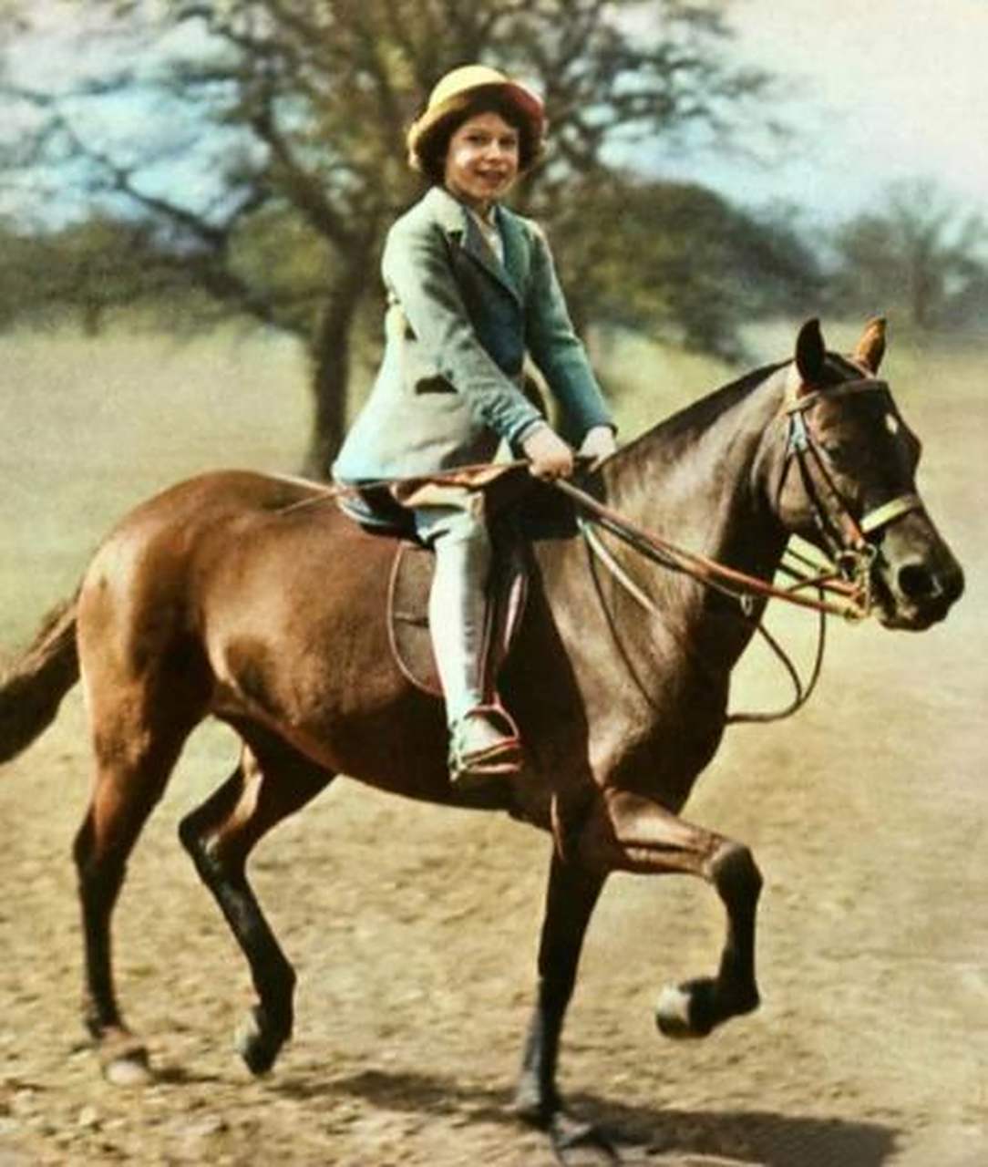 "揭露英国女王伊丽莎白二世骑马记忆!