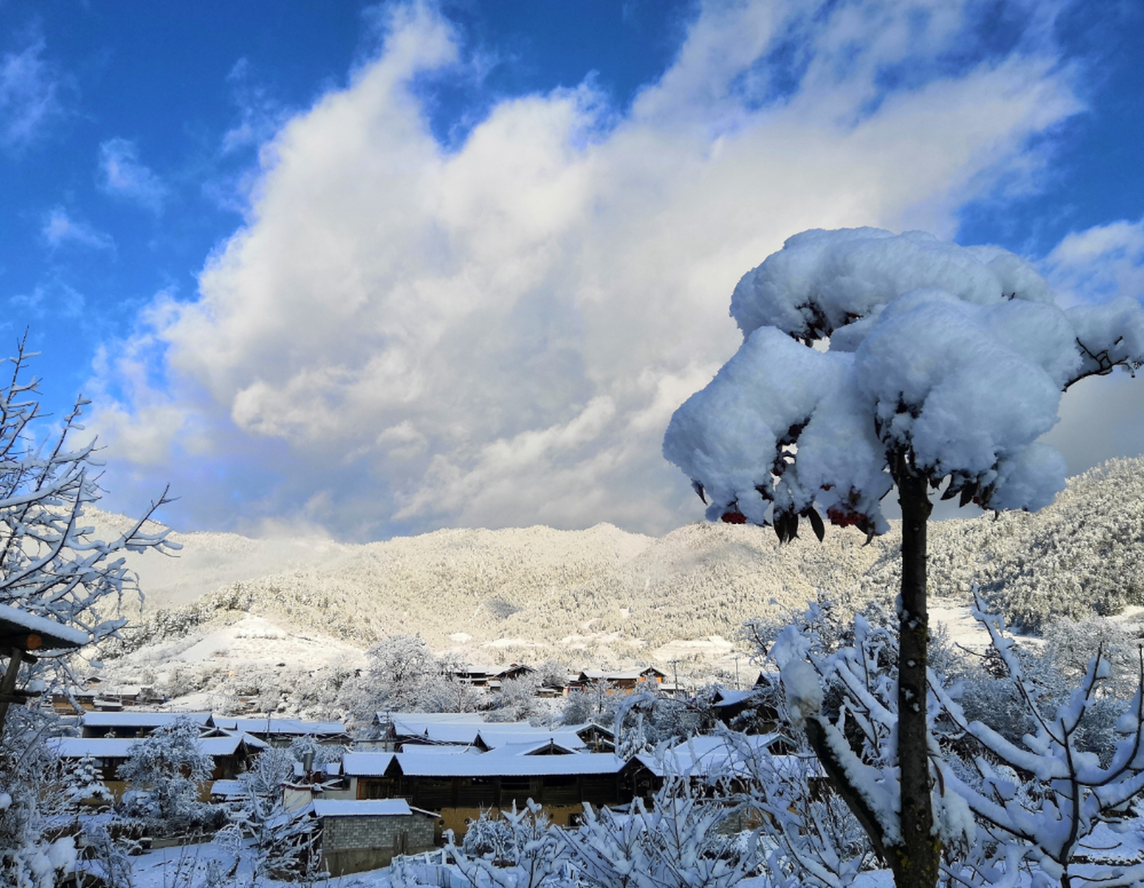 小雪节气适合看雪的地方 1,丽江:去丽江玉龙雪山看美丽的雪景,椅