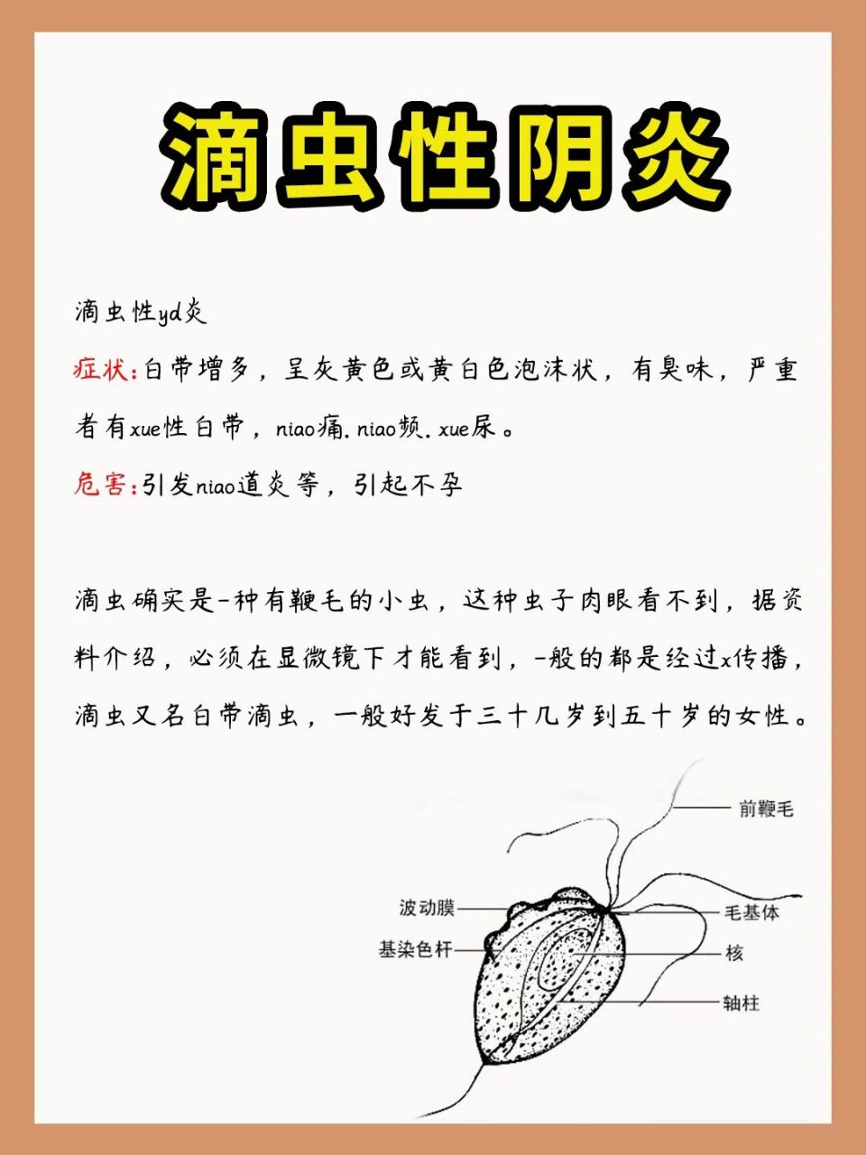 滴虫的症状图片