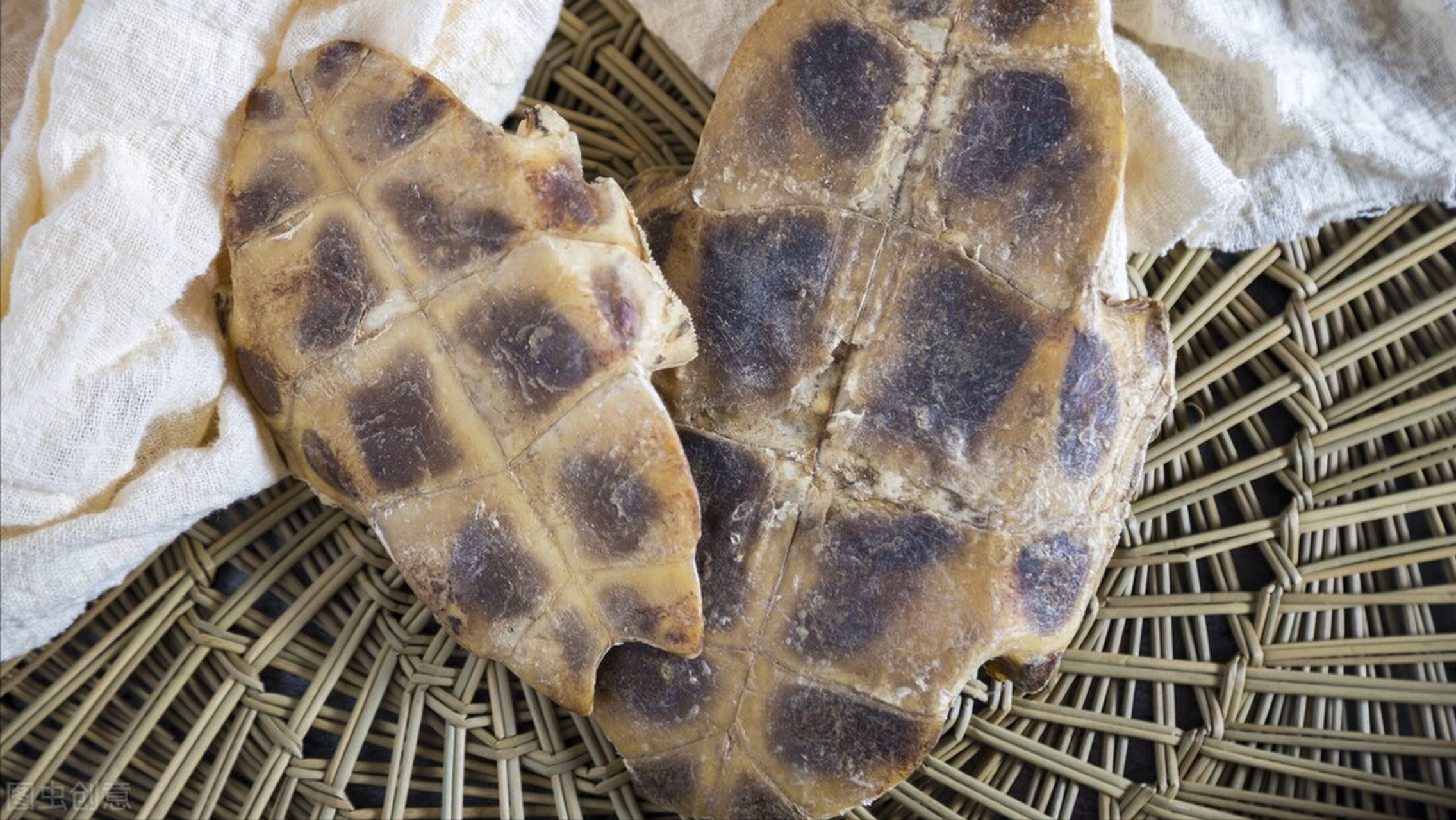 今天跟大家分享的是我用《济生方》的香棱丸为基础方,加减而成,治疗