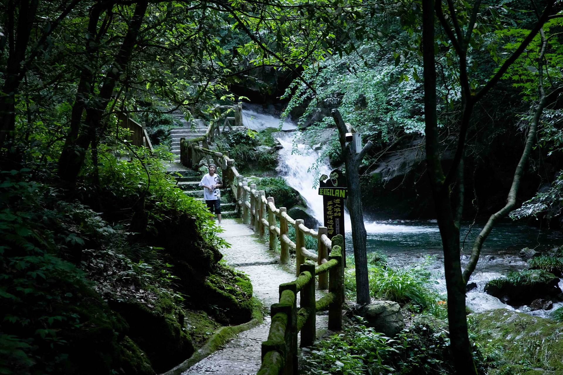 房县野人谷作为一个避暑胜地,并非徒有虚名,翠绿欲滴,幽静凉爽,飞瀑