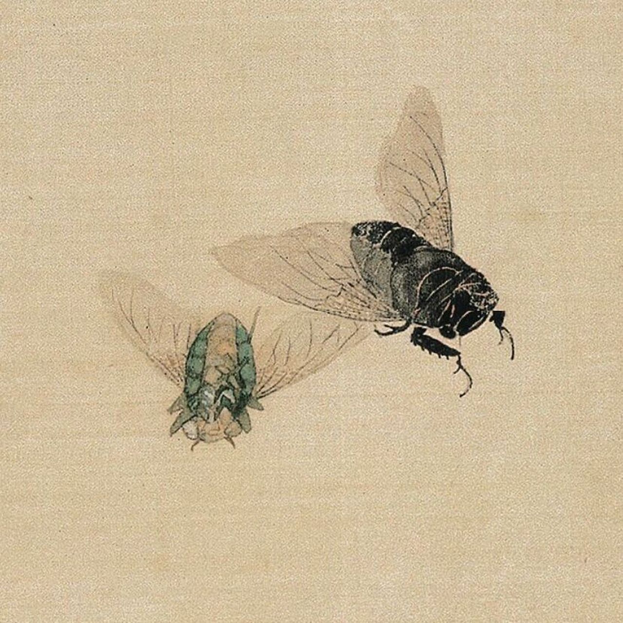 微观世界的艺术盛宴:居廉笔下的昆虫世界  接下来向您展示一位国画