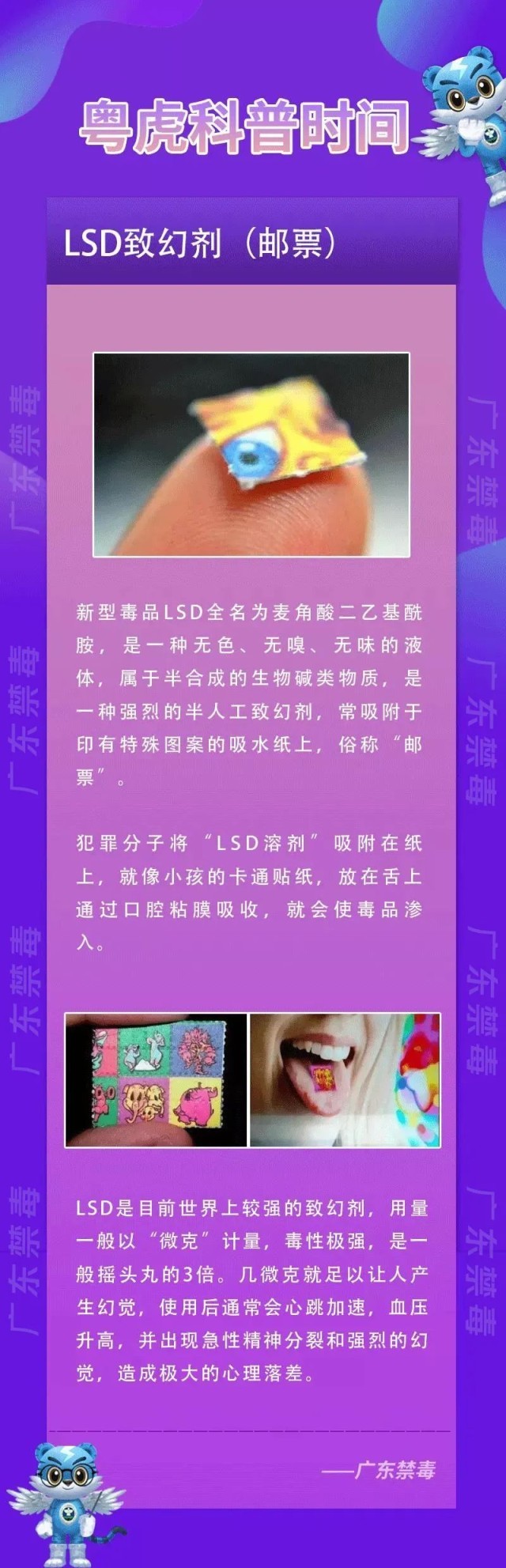见到这种花花绿绿小纸片立即报警