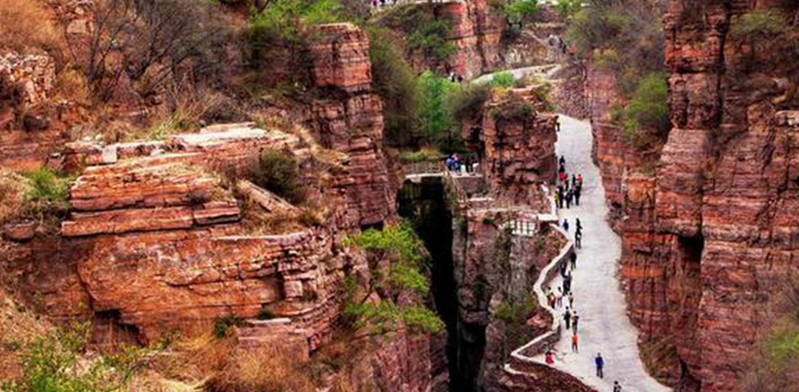 在明媚的阳光中,等一场花开,芬芳生命.