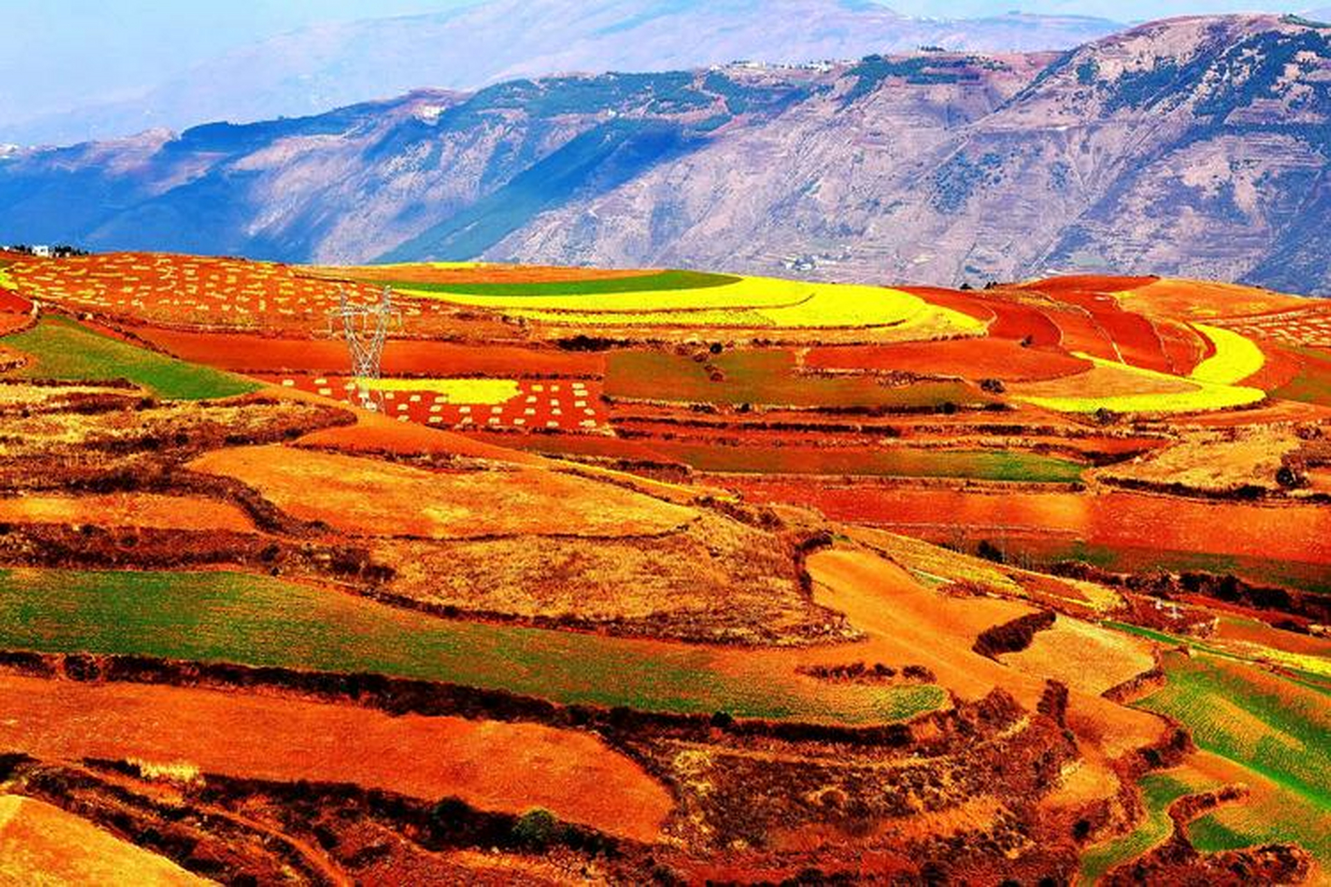 云南东川红土地:这里拥有云贵高原上最美的红土地.