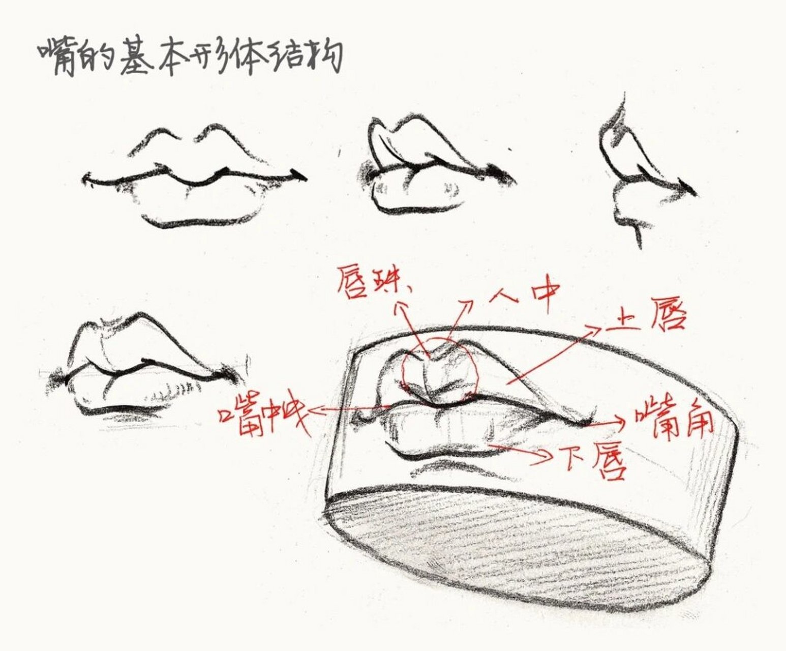 速写人物嘴唇画法图片