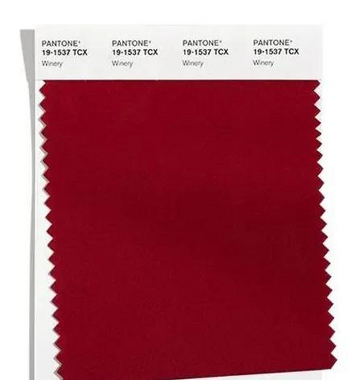 20212022秋冬十大流行色  绿色的4种时髦配色