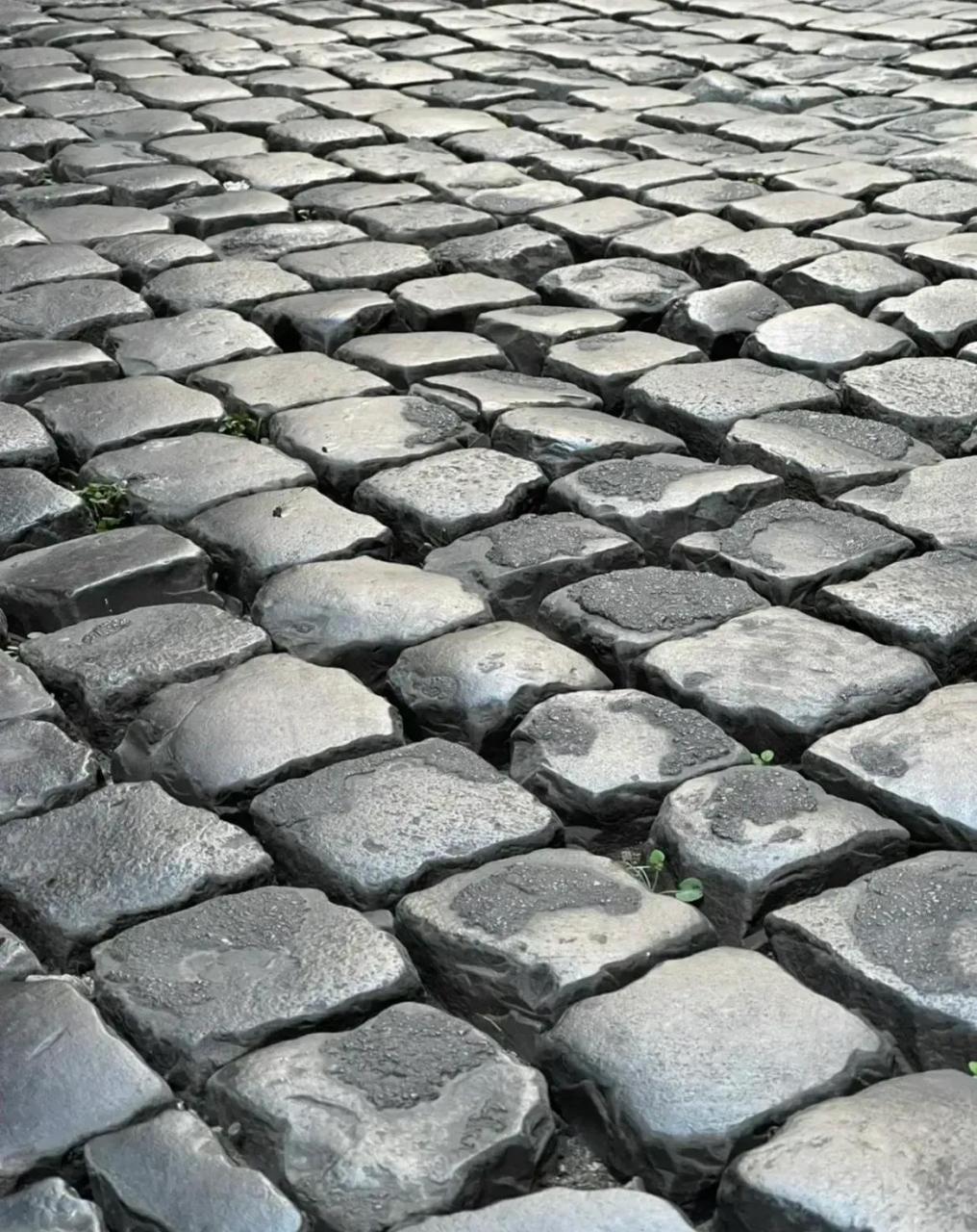 领动计划# 香榭丽舍大街上的这个石条,竟然有1米长.