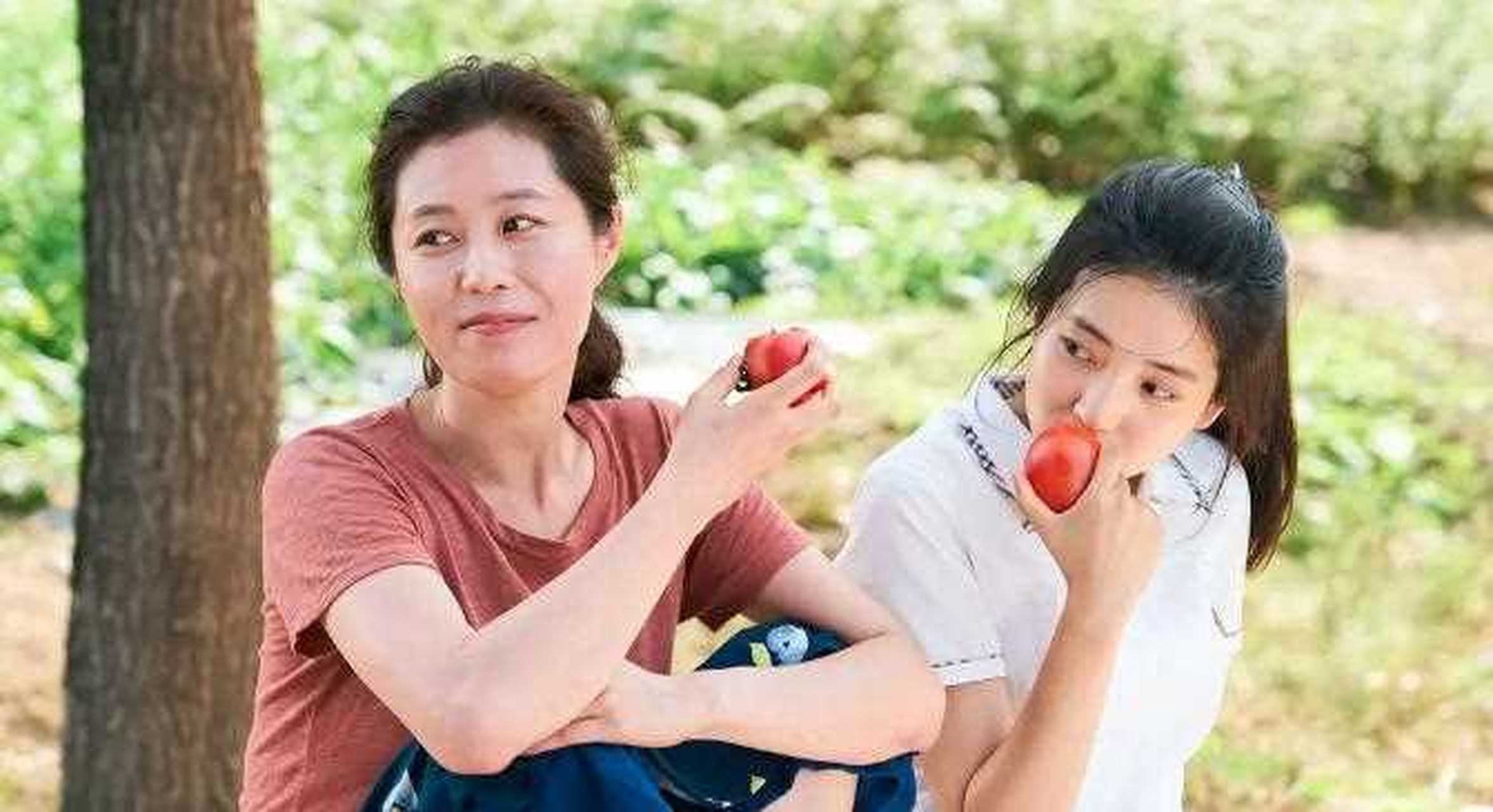 在金泰梨主演的电影《小森林》中,电影开首以女主角惠媛的一段旁白带