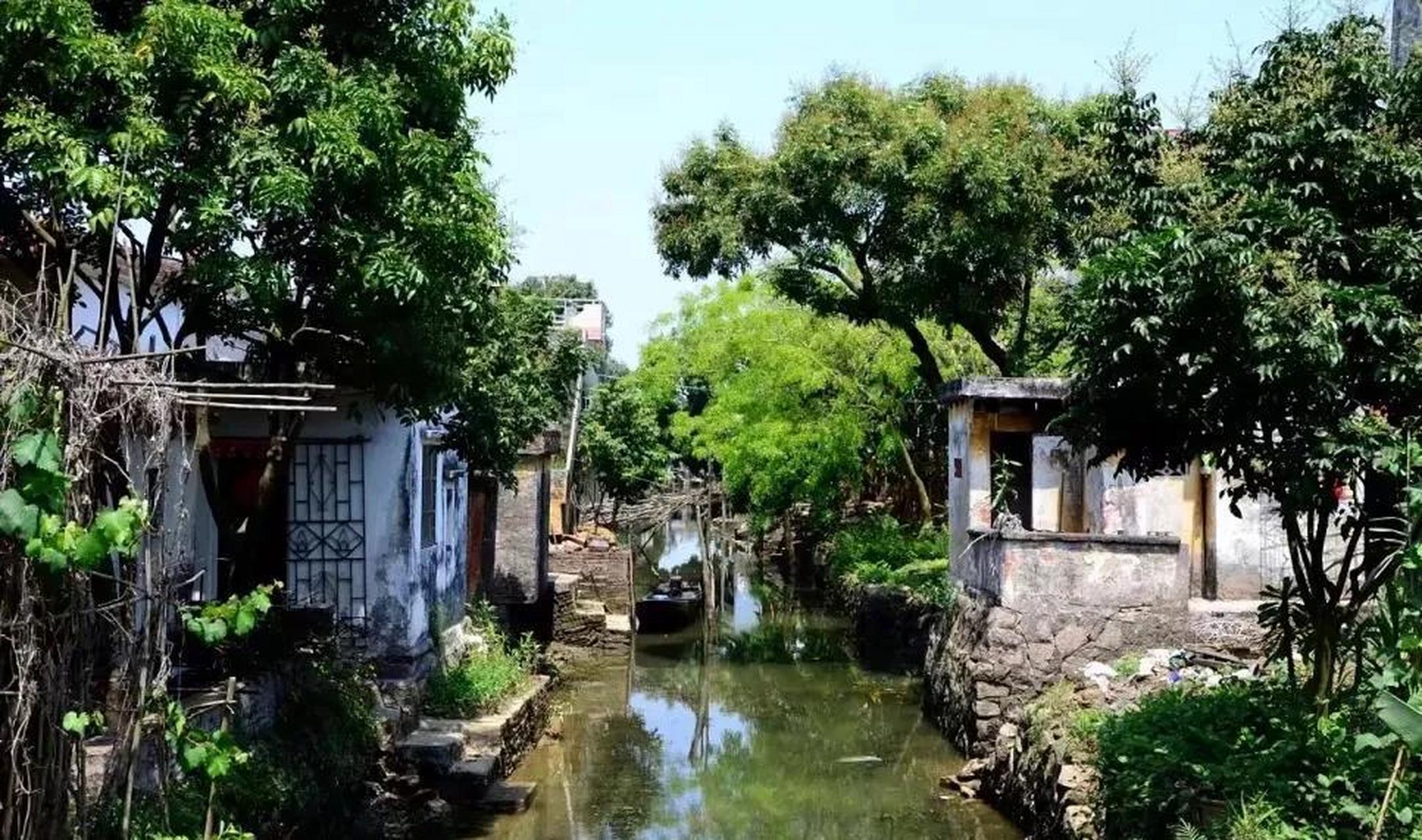 西江上有个小岛,名字叫"石板沙",位于江门新会区睦洲镇的东面,四面环