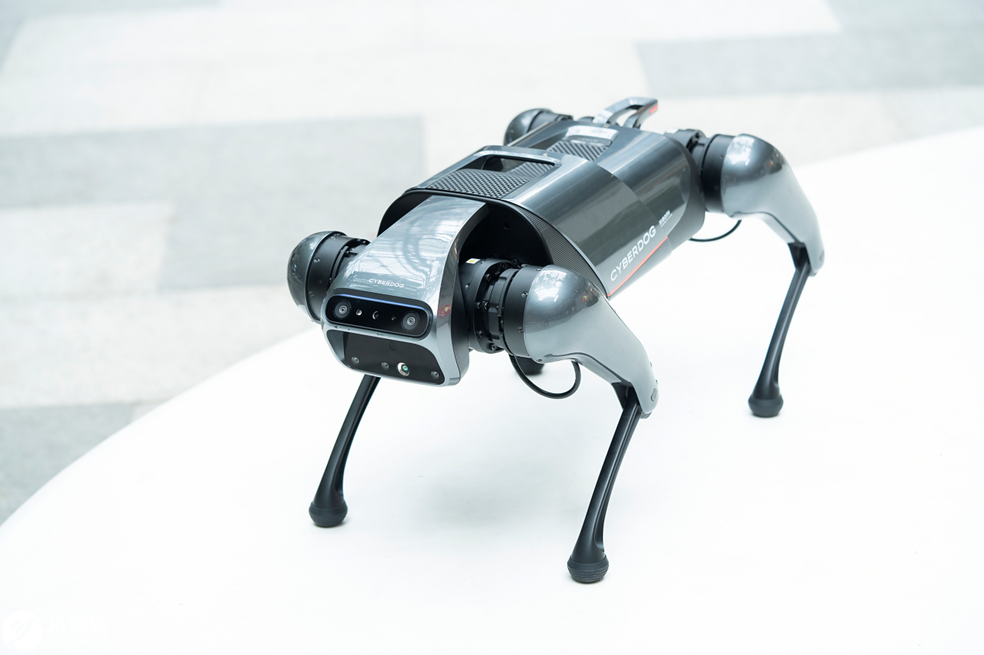 小米:有望在2-3年内,把机器狗价格打到5000元以下!