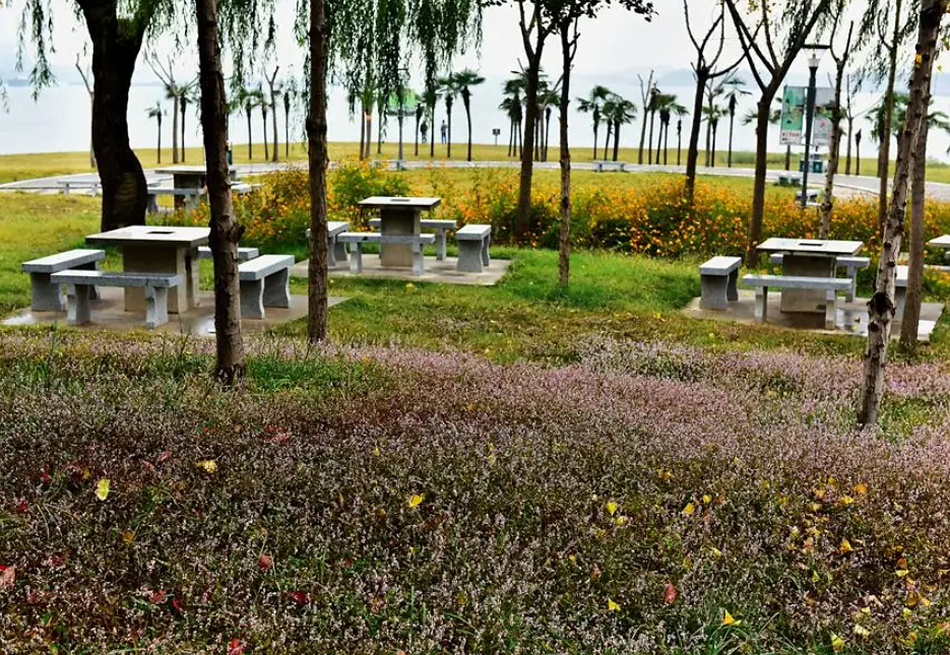 杨梅洲水上公园位于湘潭市雨湖区杨梅洲,是一座集园林,文化,旅游观光