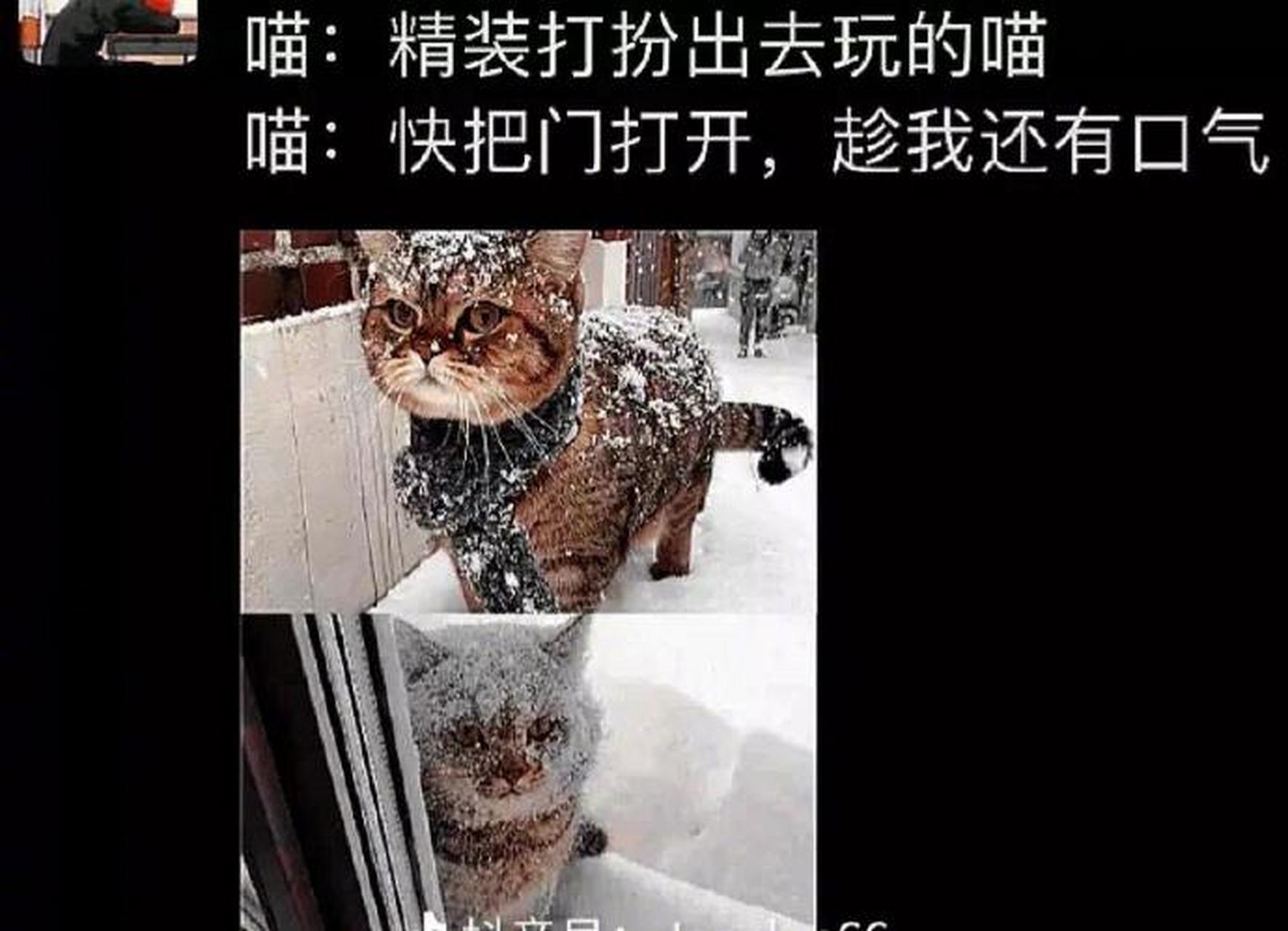 我已经冻僵了#趣图搞笑#搞笑