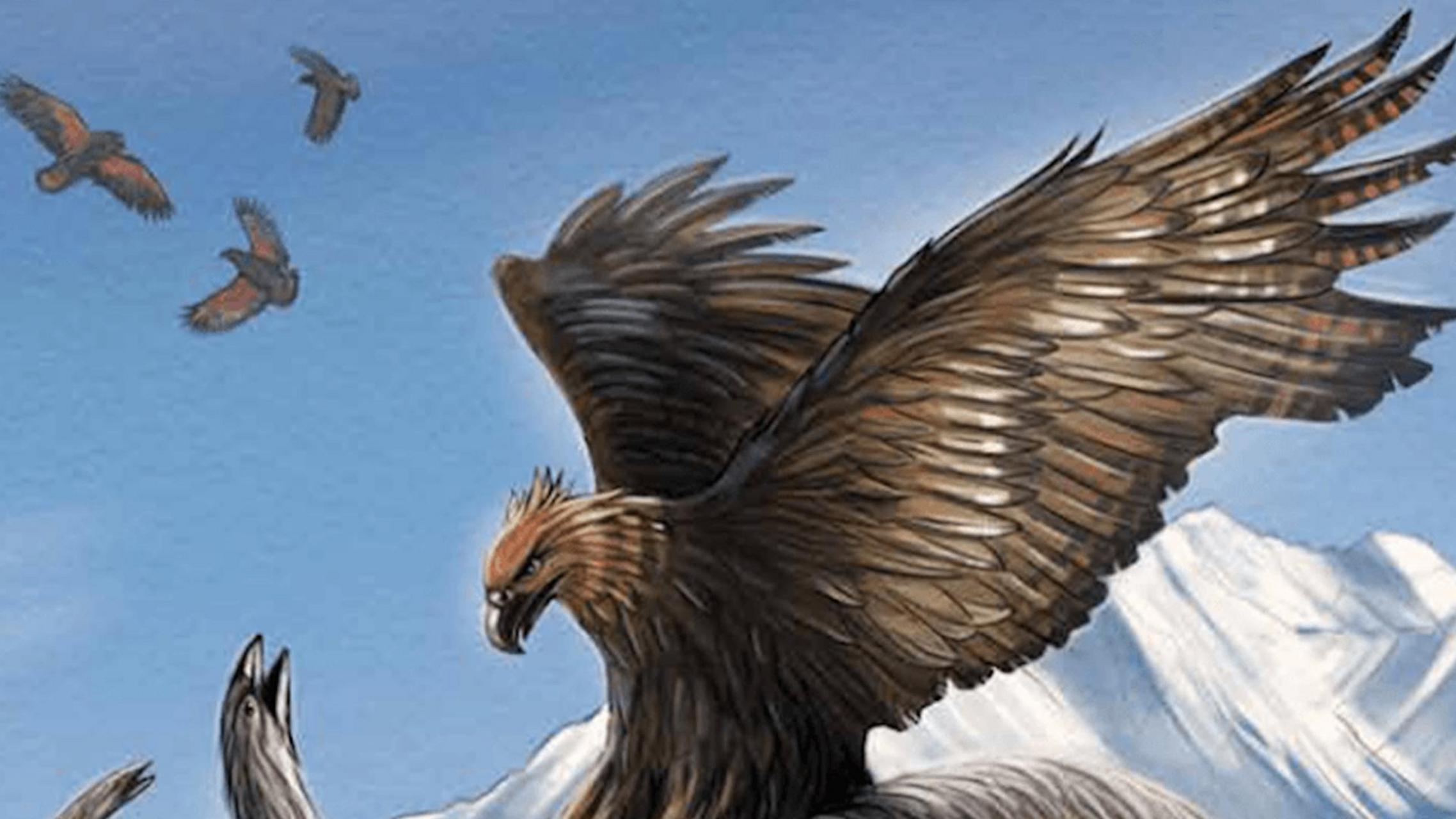 史上最强大的10种鸟:哈斯特巨鹰  这种神奇的大鸟在新西兰生活了100