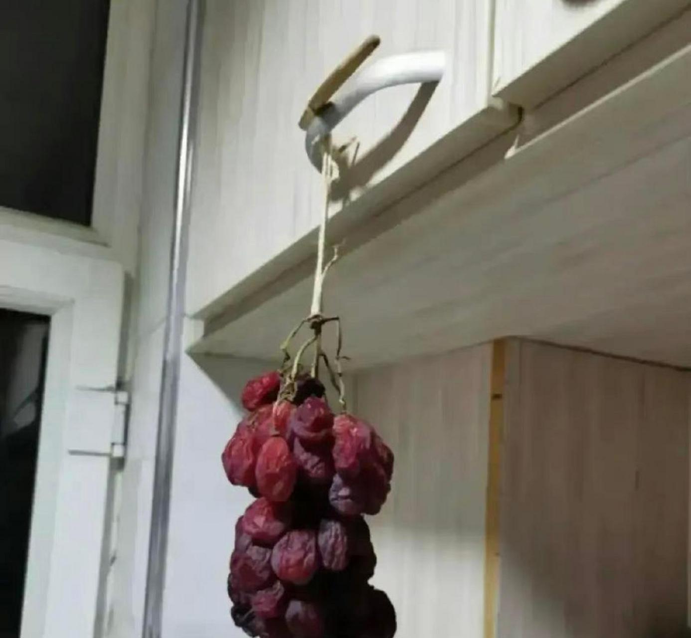 自制葡萄干 #搞笑趣味图