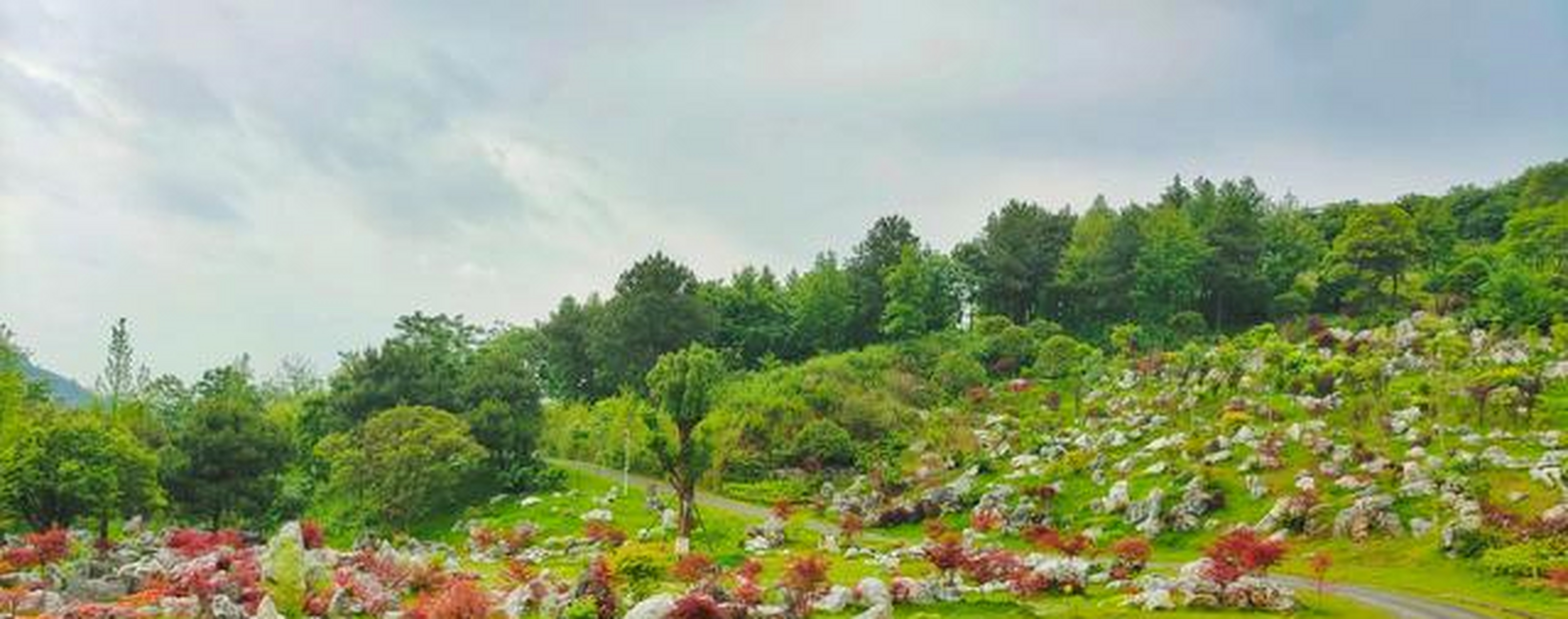 红军与敌人展开了一场双方投入兵力最多的战斗——脚山铺阻击战,脚山